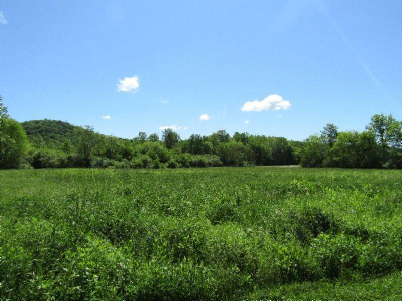 Gainesboro, TN 38562,5.20ac Big Bottom Rd