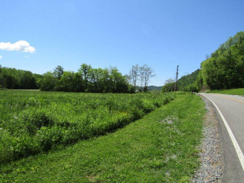 Gainesboro, TN 38562,5.20ac Big Bottom Rd