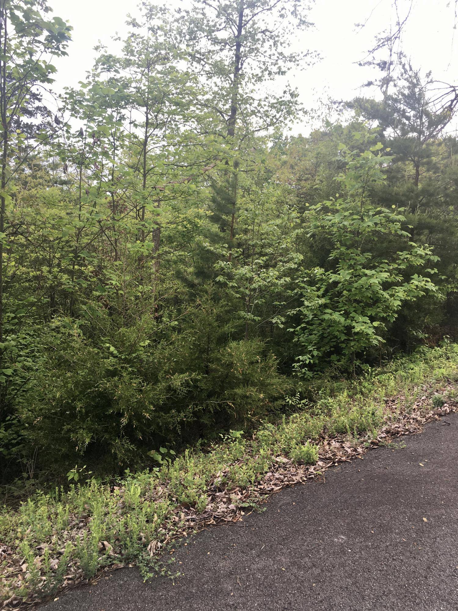 New Tazewell, TN 37825,Lot 100 Flagstone Loop