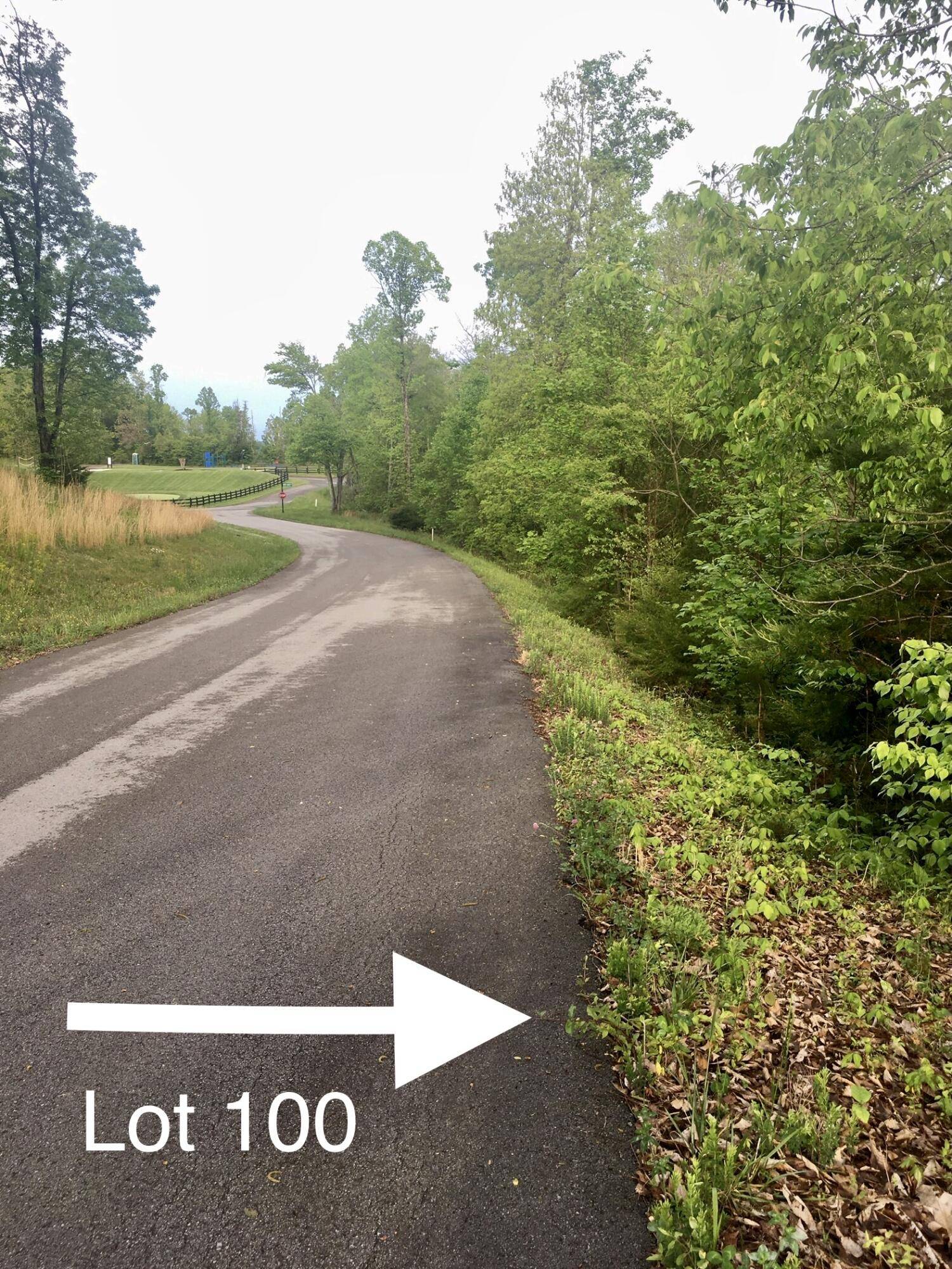 New Tazewell, TN 37825,Lot 100 Flagstone Loop