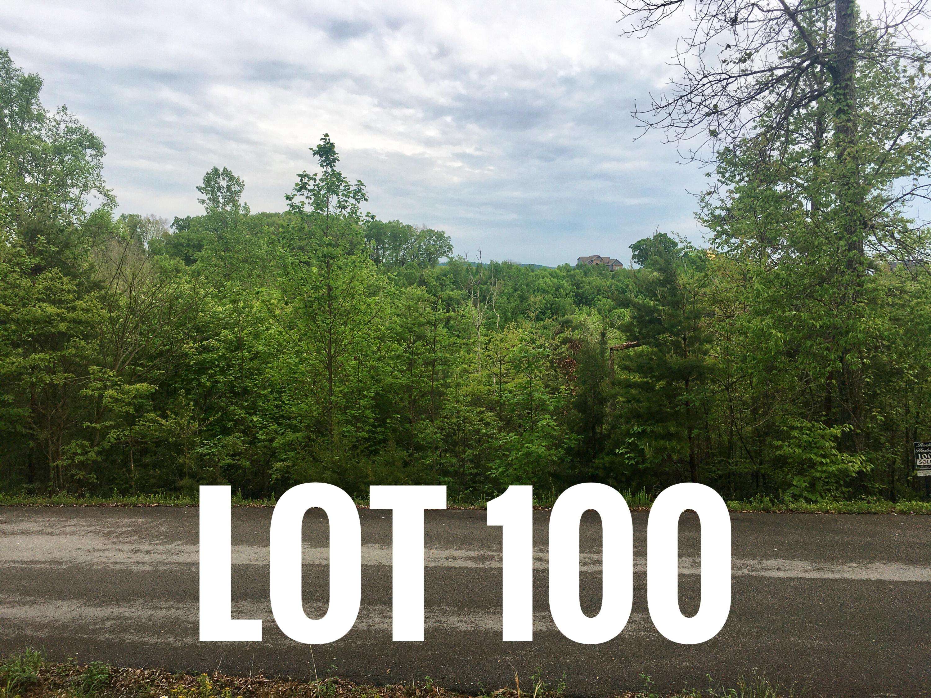 New Tazewell, TN 37825,Lot 100 Flagstone Loop