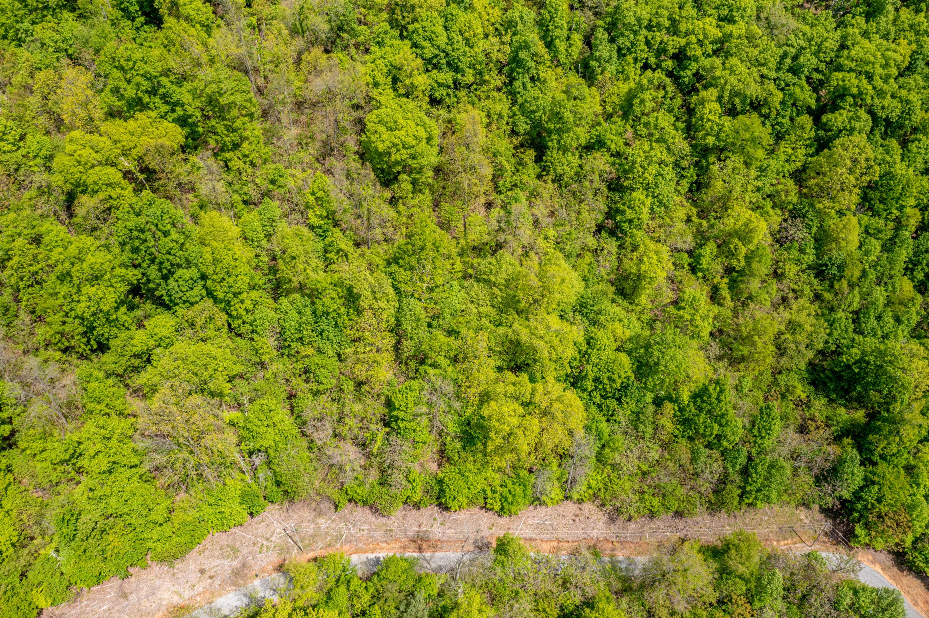 New Tazewell, TN 37825,Lot 620 Chimney Rock Rd