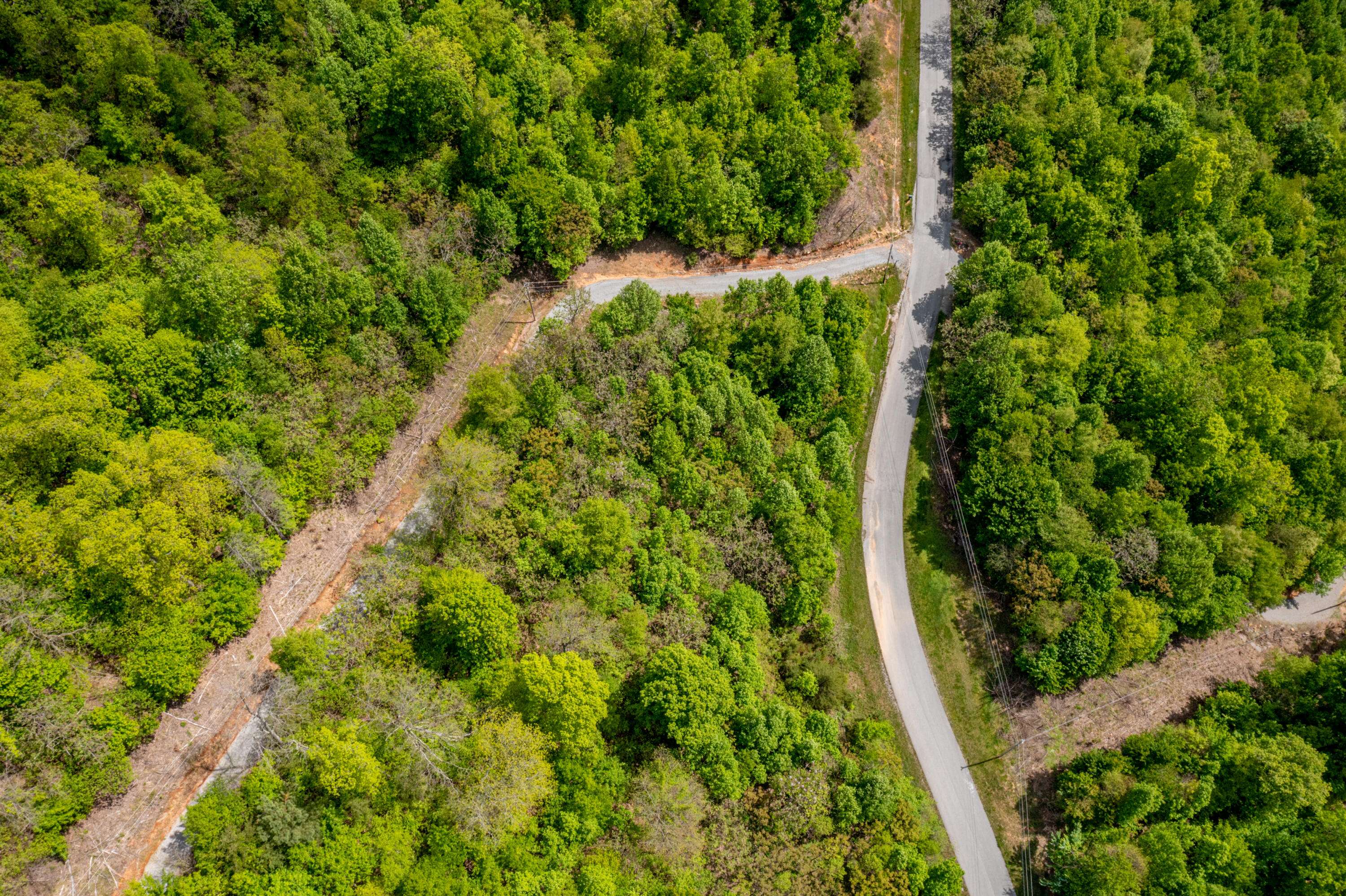 New Tazewell, TN 37825,Lot 620 Chimney Rock Rd