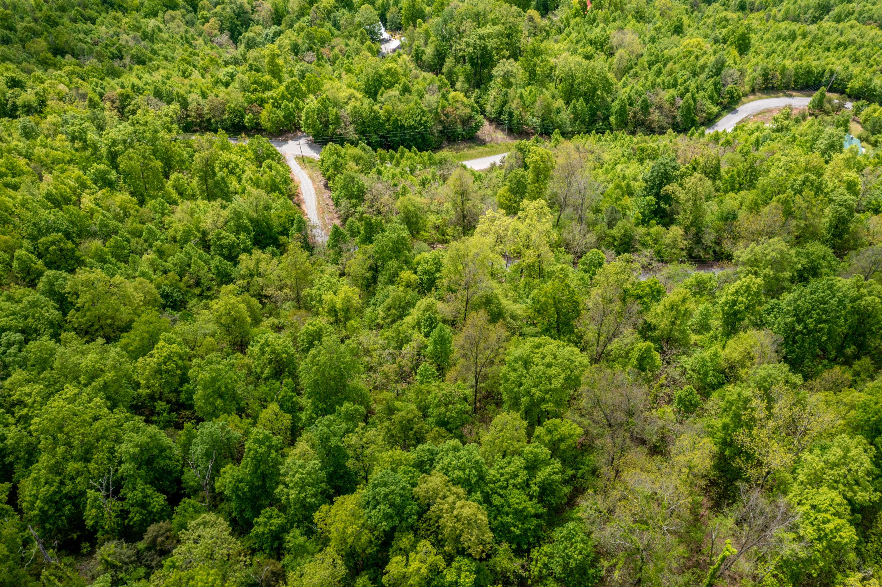 New Tazewell, TN 37825,Lot 620 Chimney Rock Rd