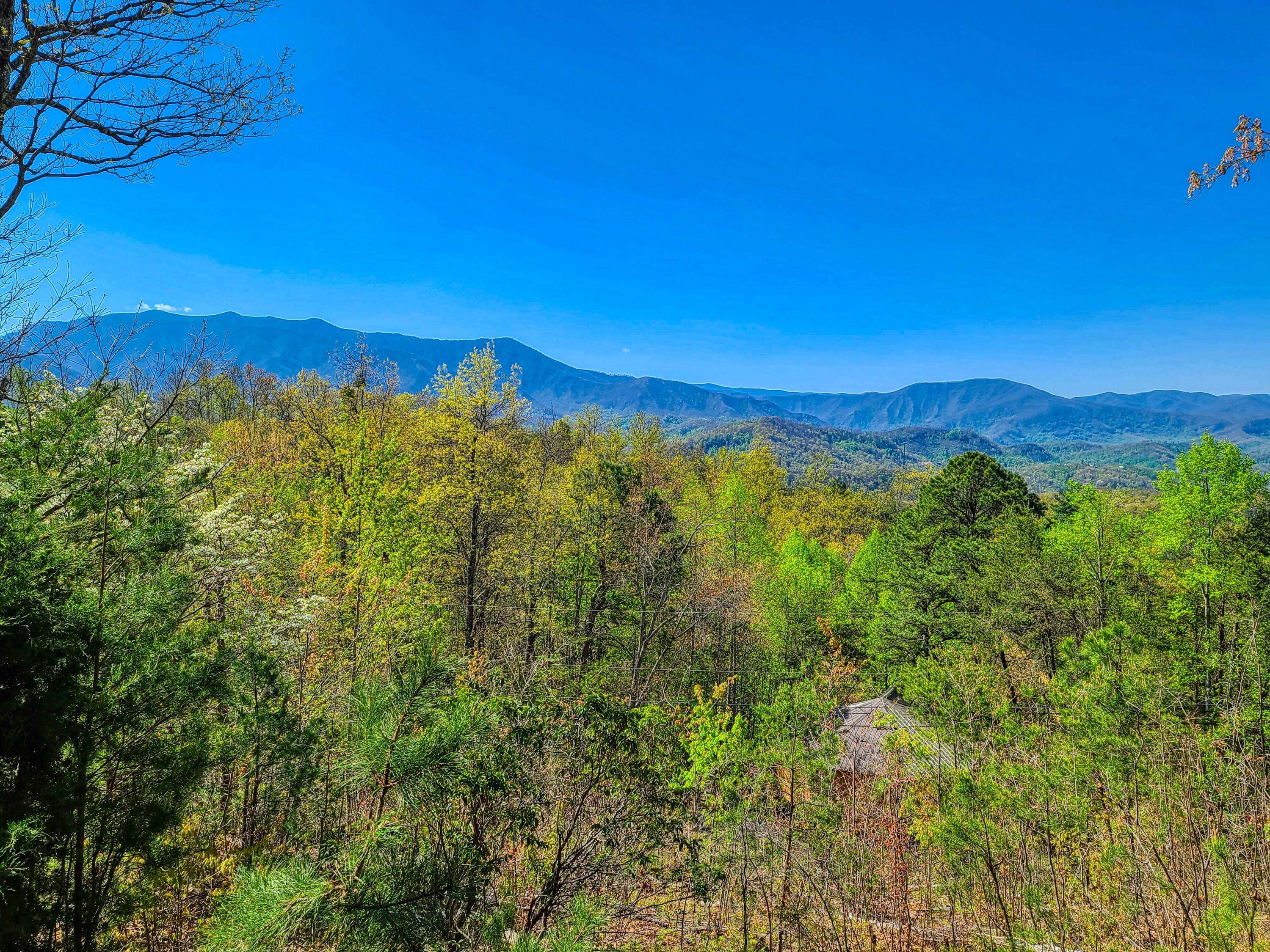 Gatlinburg, TN 37738,1061 Foothills DR