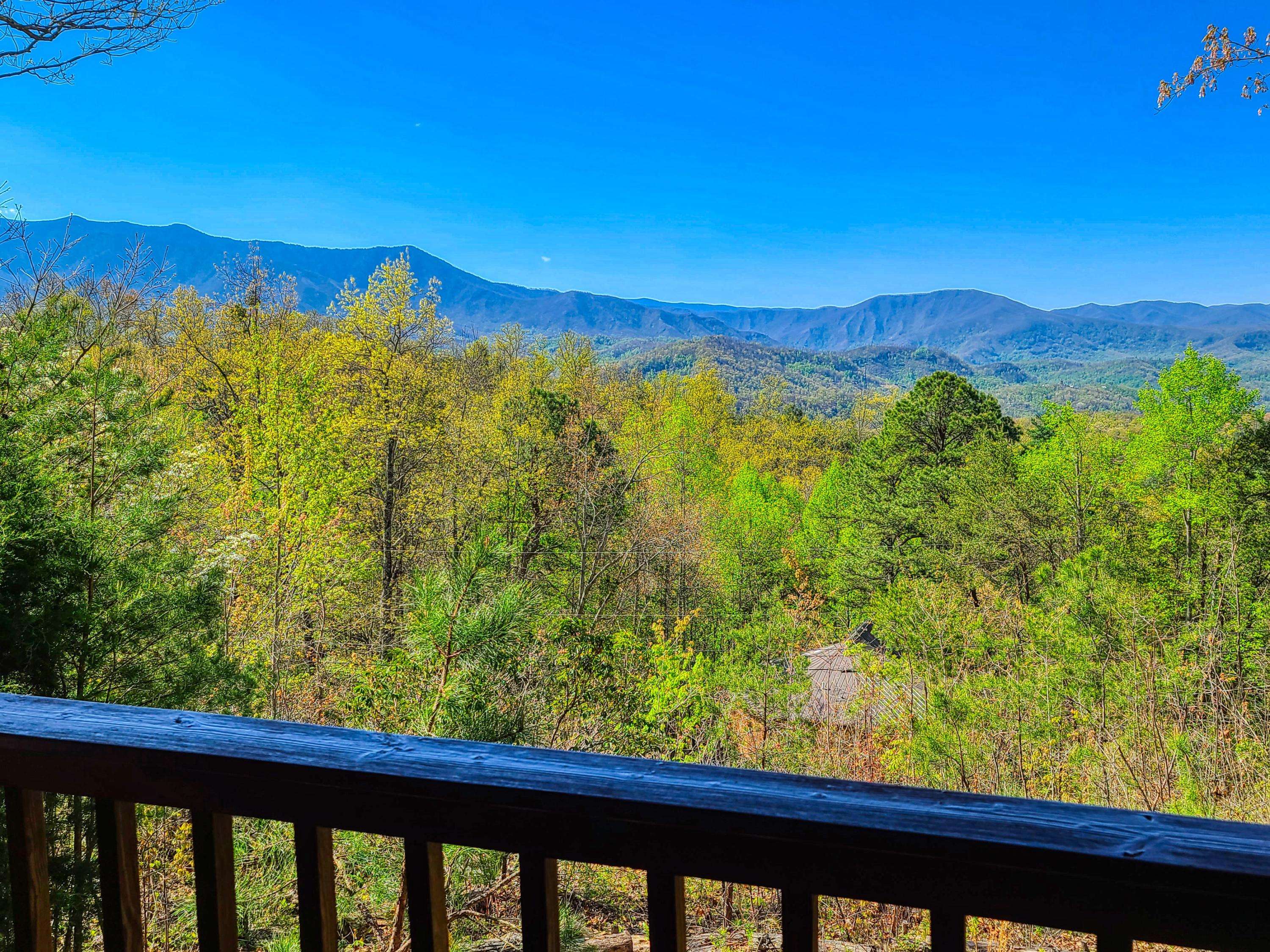 Gatlinburg, TN 37738,1061 Foothills DR