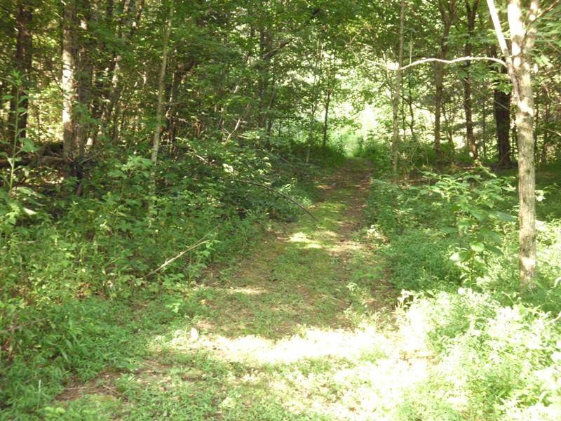 Tellico Plains, TN 37385,251 Dockery Rd