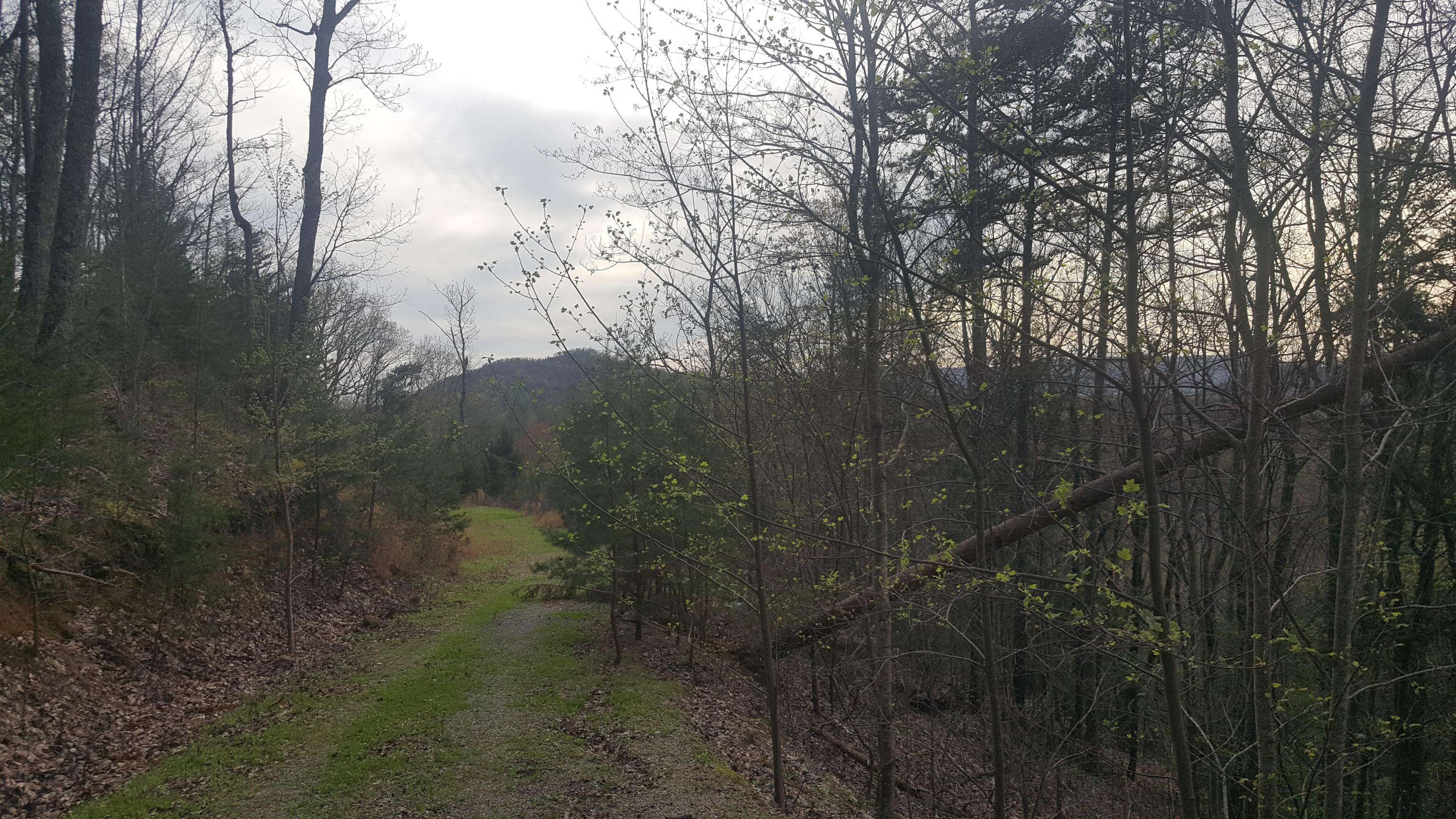 Tellico Plains, TN 37385,Tract 8 Indian Ridge DR