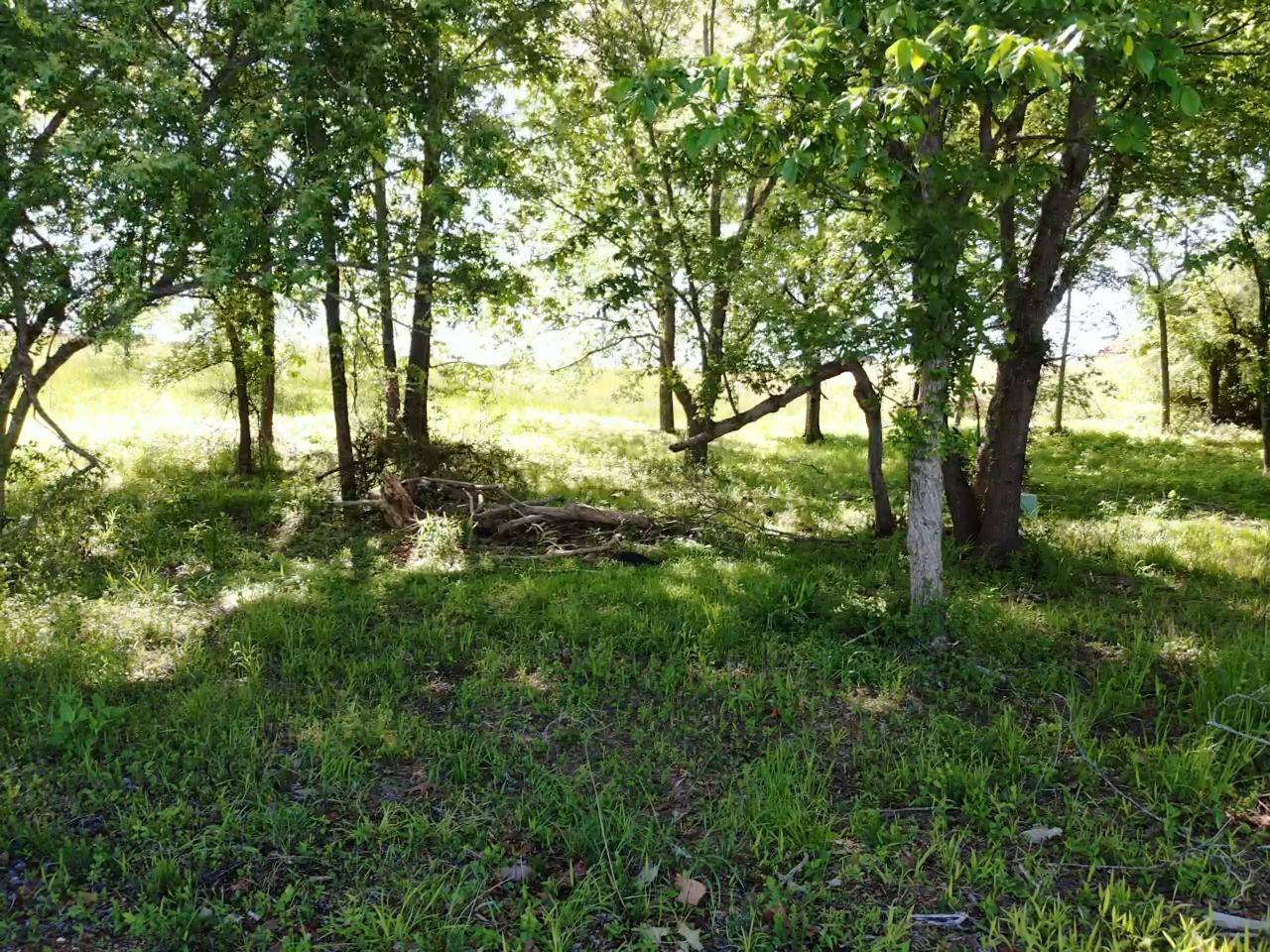 Rockwood, TN 37854,Lot 427 Pointe Vista DR