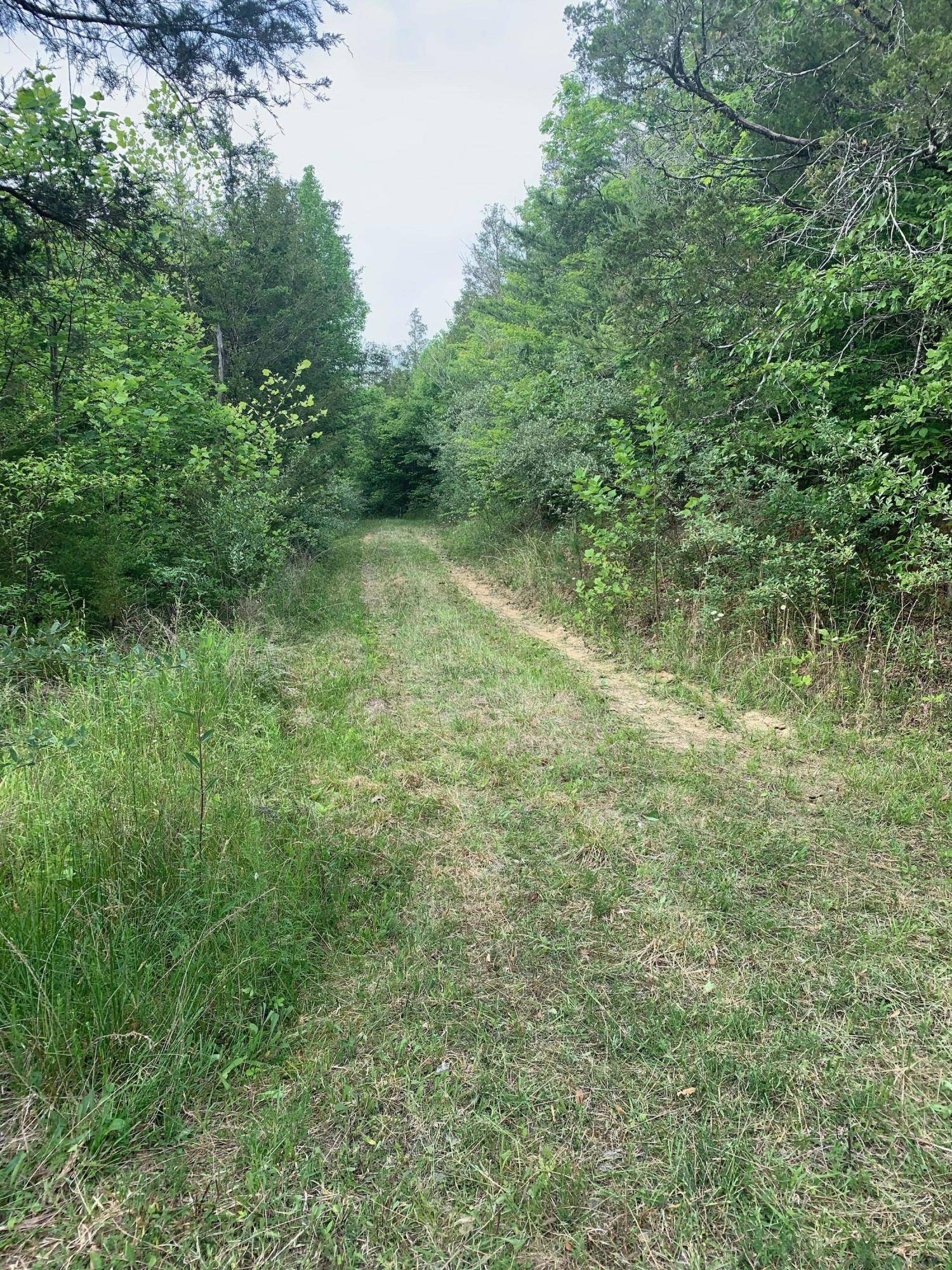 Tellico Plains, TN 37385,29.38 ac Cagle Road