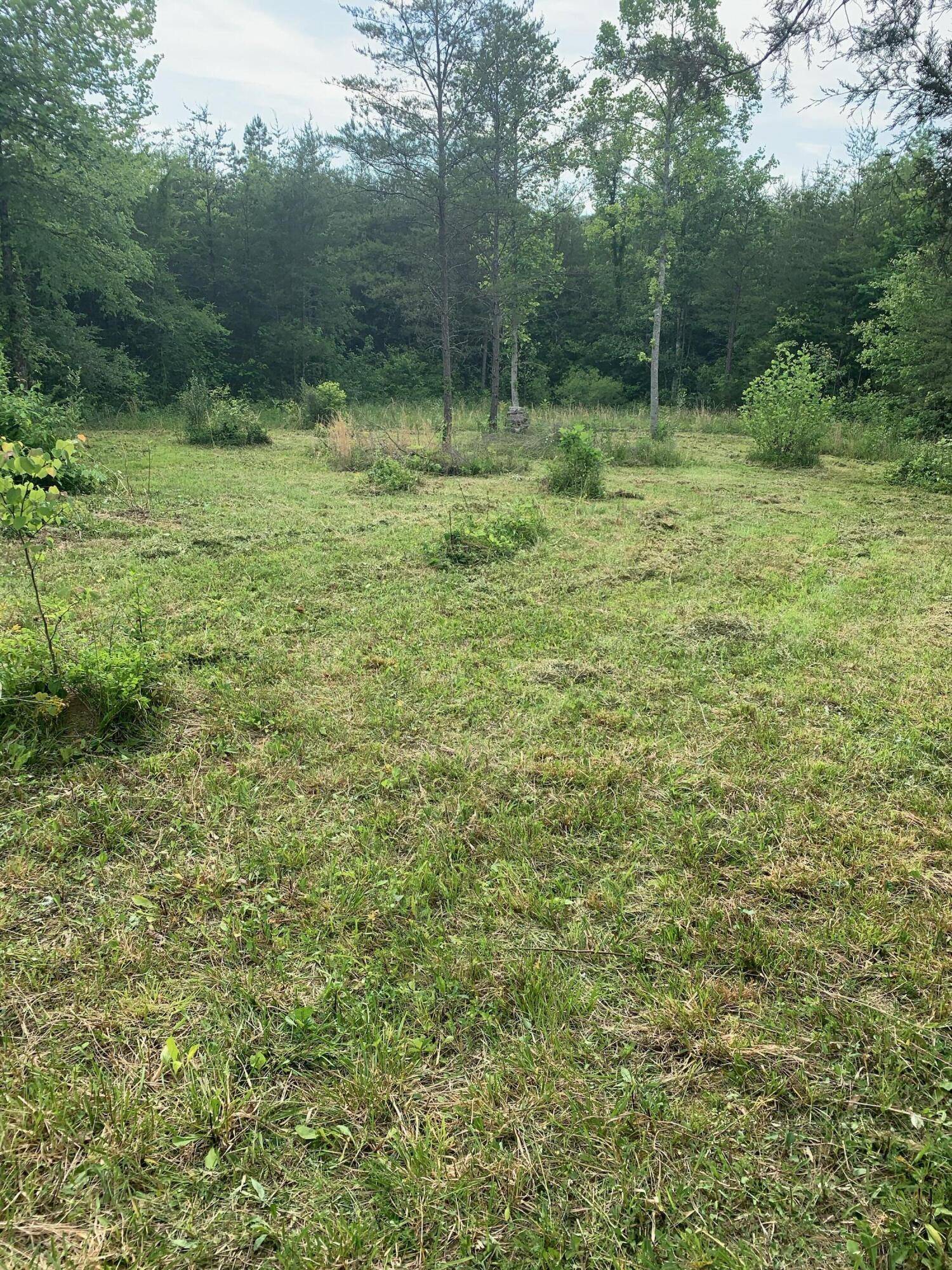 Tellico Plains, TN 37385,29.38 ac Cagle Road