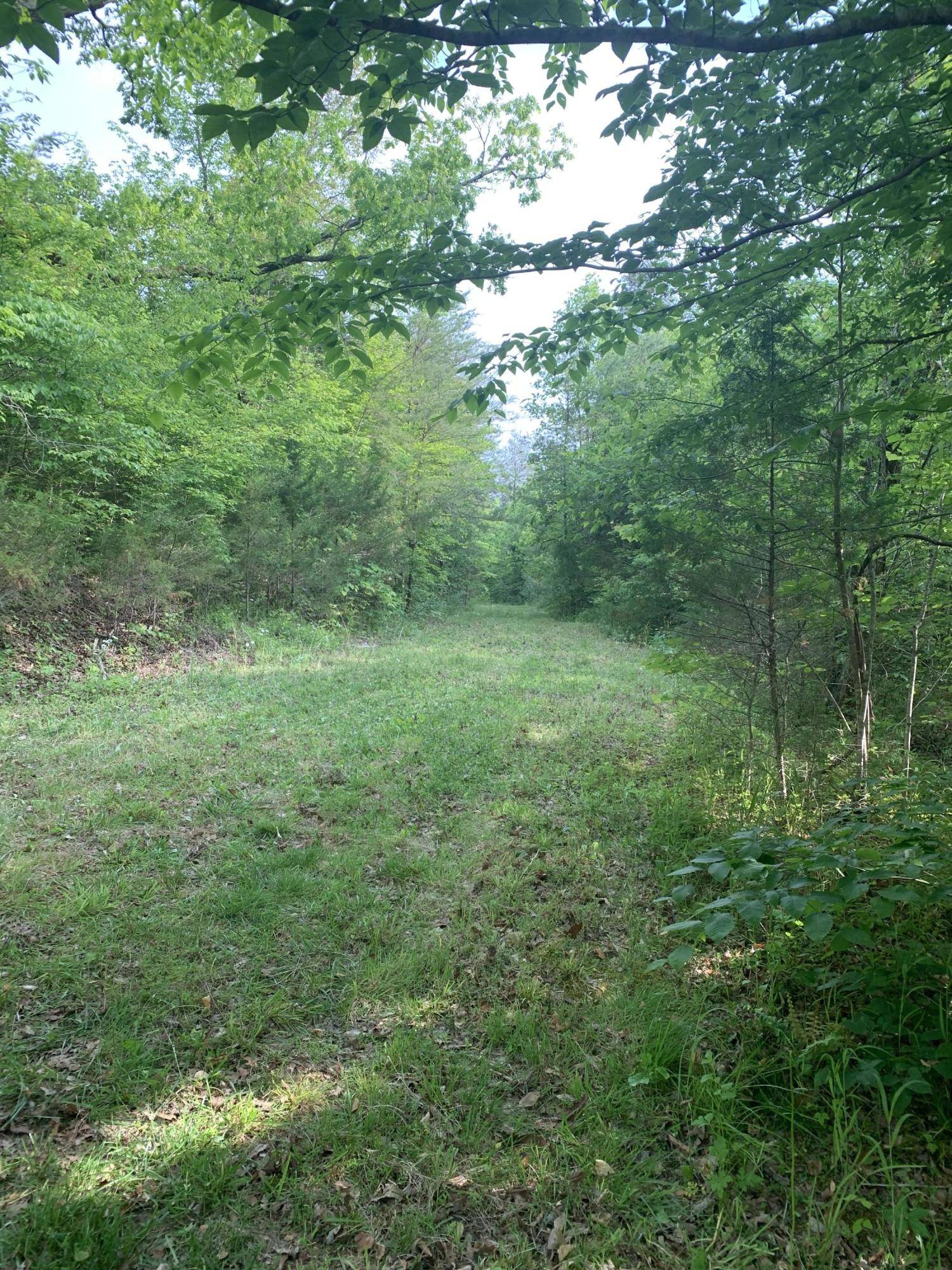 Tellico Plains, TN 37385,29.38 ac Cagle Road