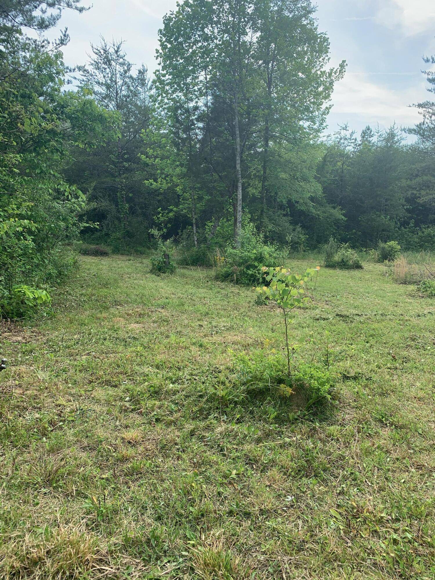 Tellico Plains, TN 37385,29.38 ac Cagle Road