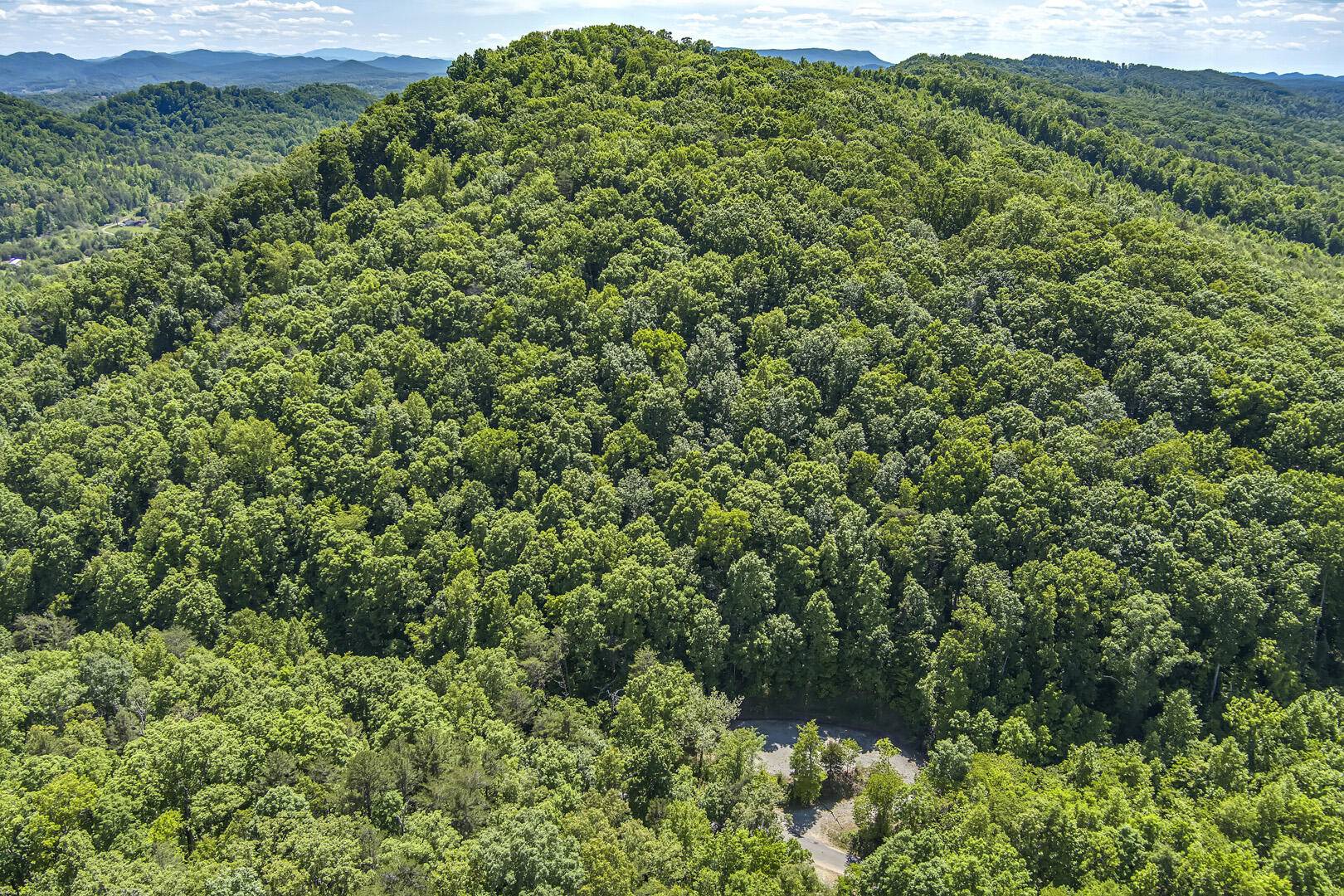 Tellico Plains, TN 37385,77 acres Laurel Creek Road