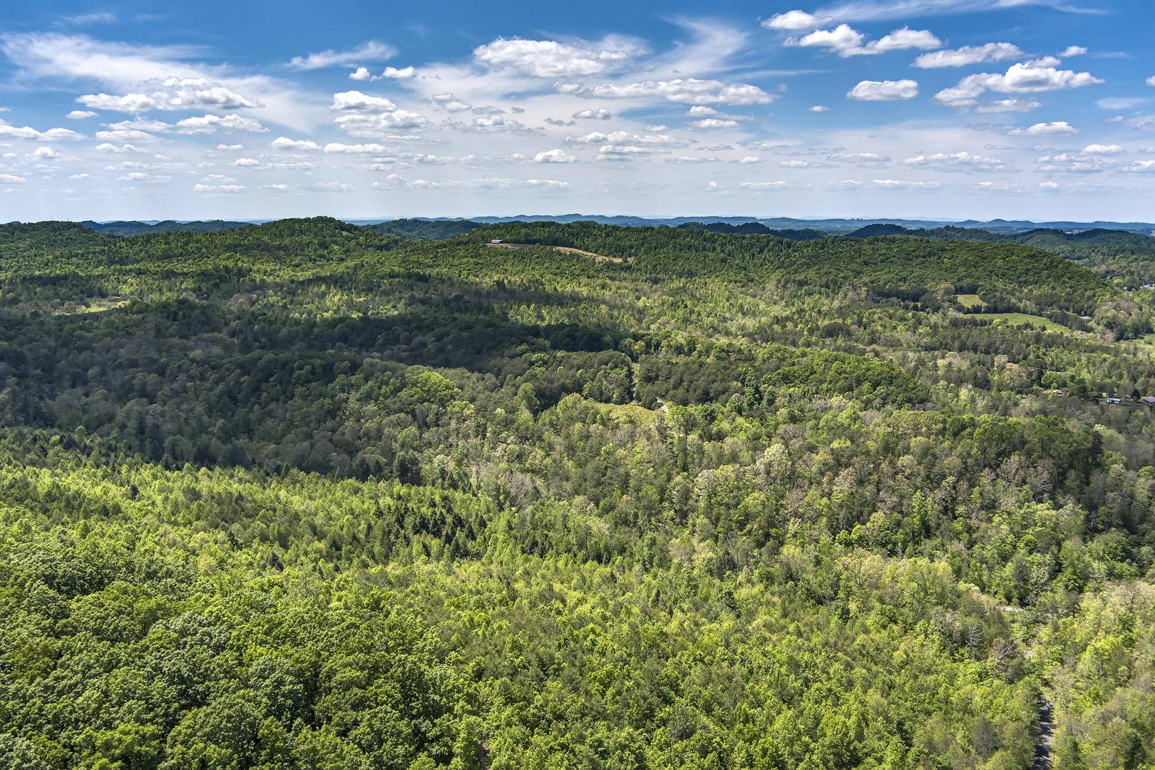 Tellico Plains, TN 37385,77 acres Laurel Creek Road