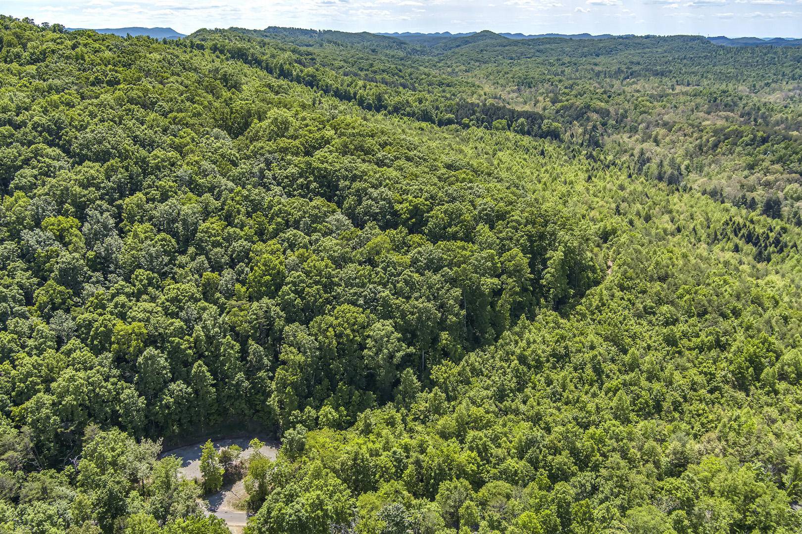 Tellico Plains, TN 37385,77 acres Laurel Creek Road