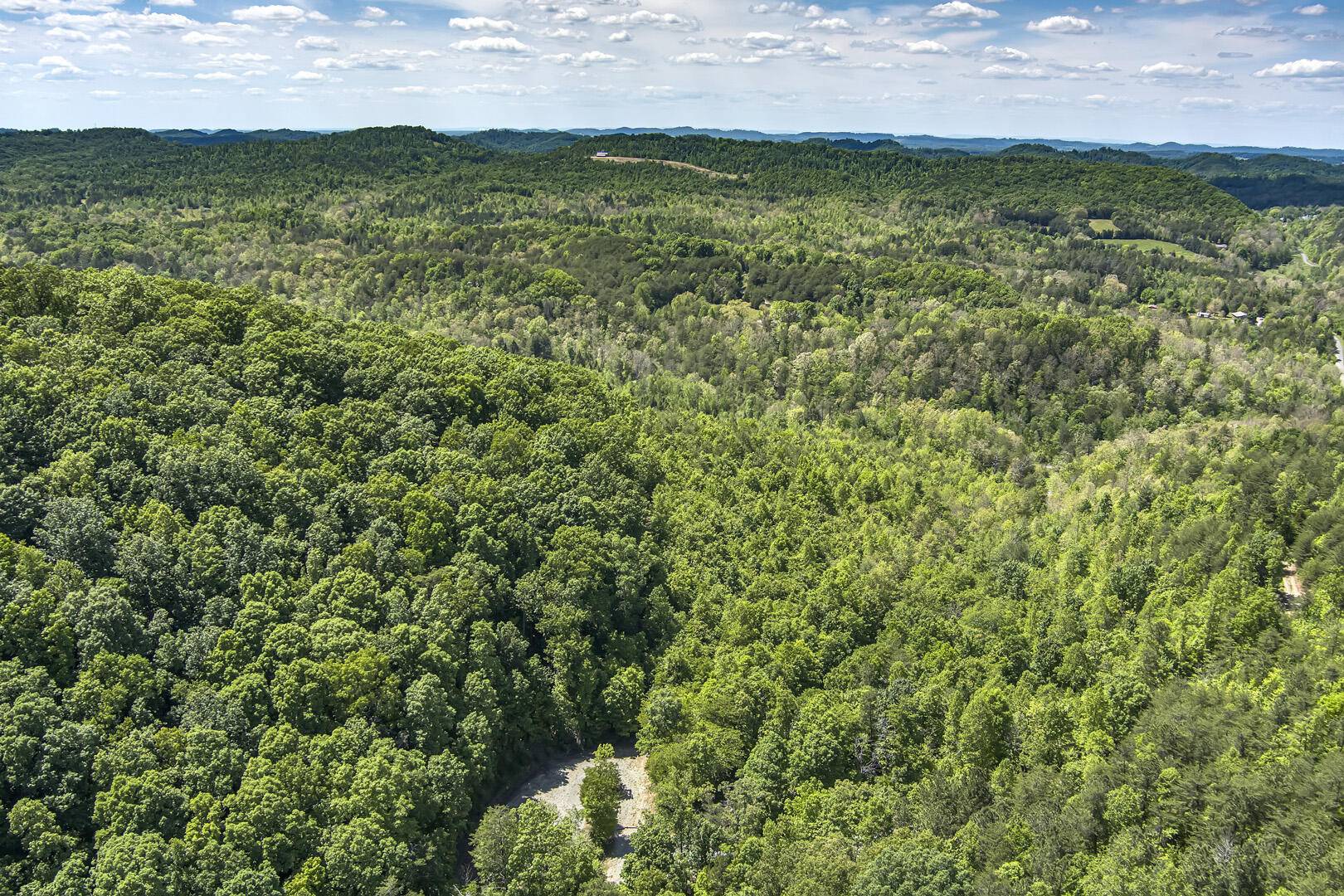 Tellico Plains, TN 37385,77 acres Laurel Creek Road