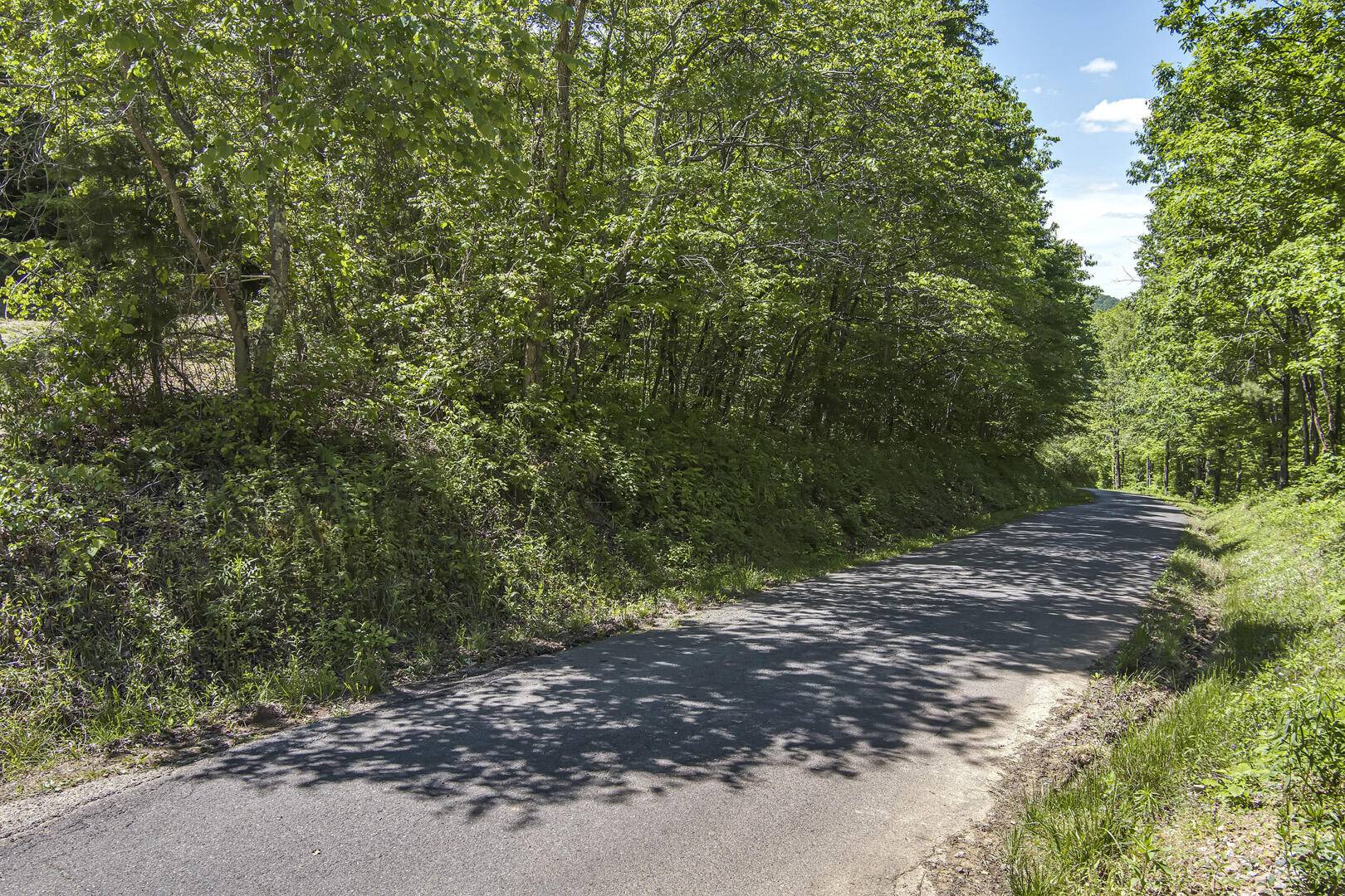 Tellico Plains, TN 37385,77 acres Laurel Creek Road