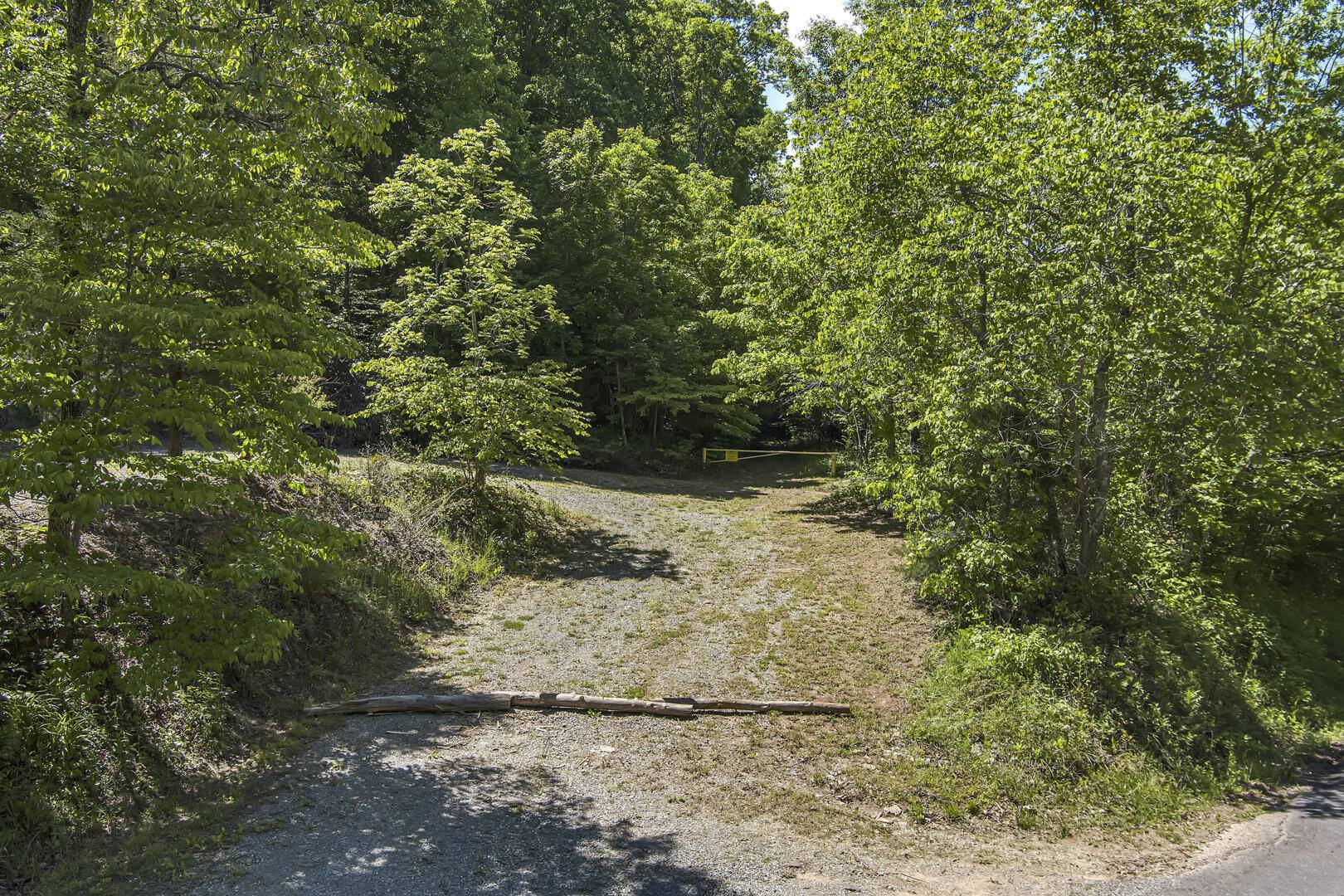 Tellico Plains, TN 37385,77 acres Laurel Creek Road