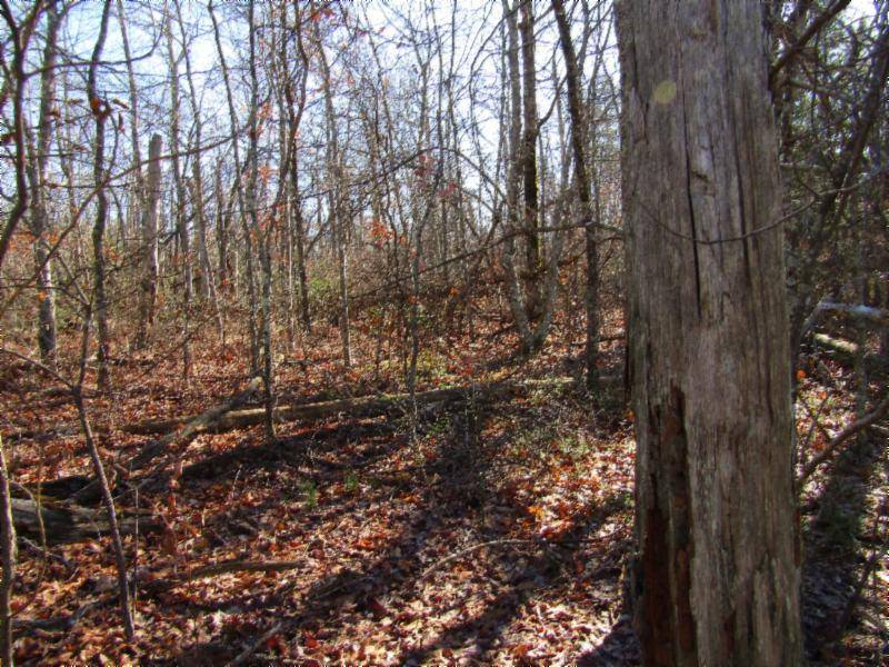 Monterey, TN 38574,Lot 20 Laurel Loop