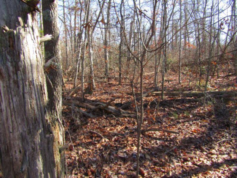 Monterey, TN 38574,Lot 20 Laurel Loop
