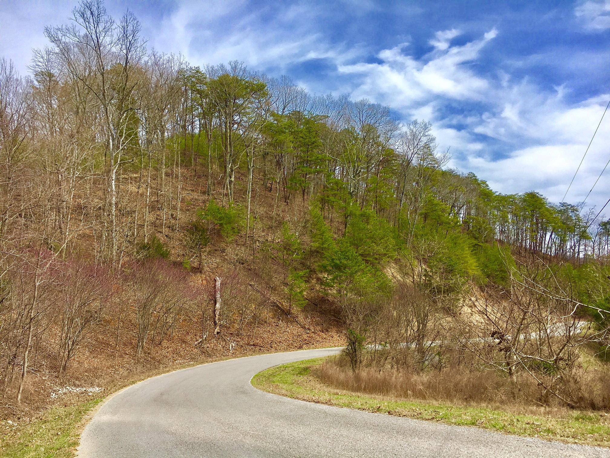 New Tazewell, TN 37825,Lot 290 Bluff View Rd