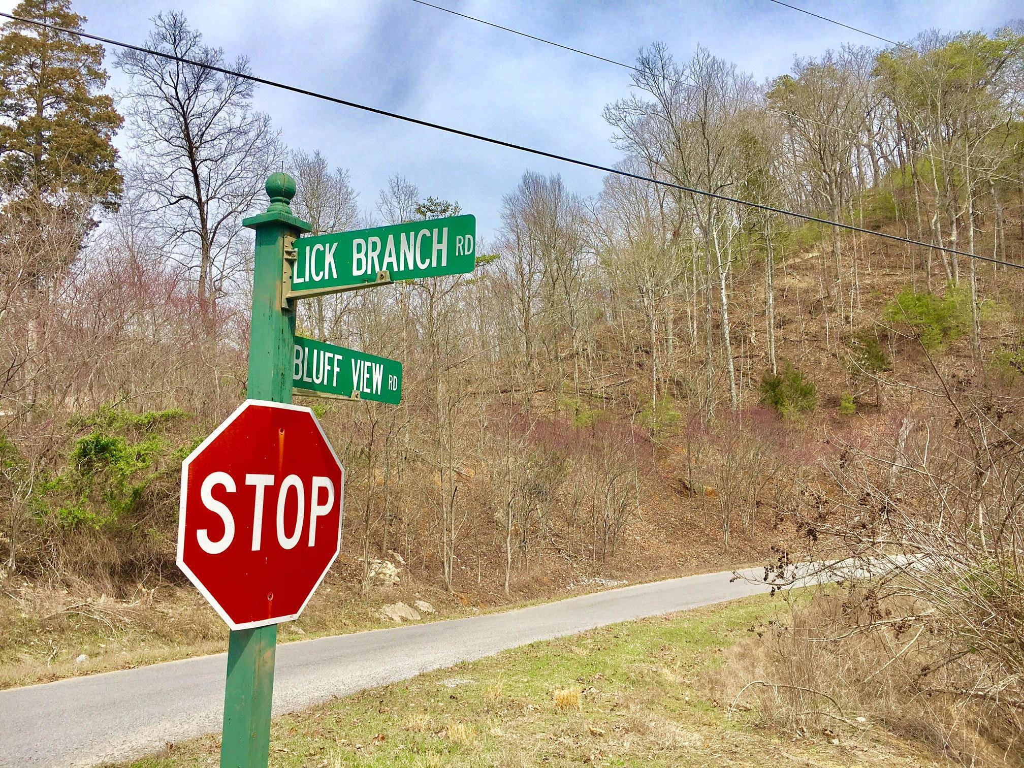 New Tazewell, TN 37825,Lot 290 Bluff View Rd