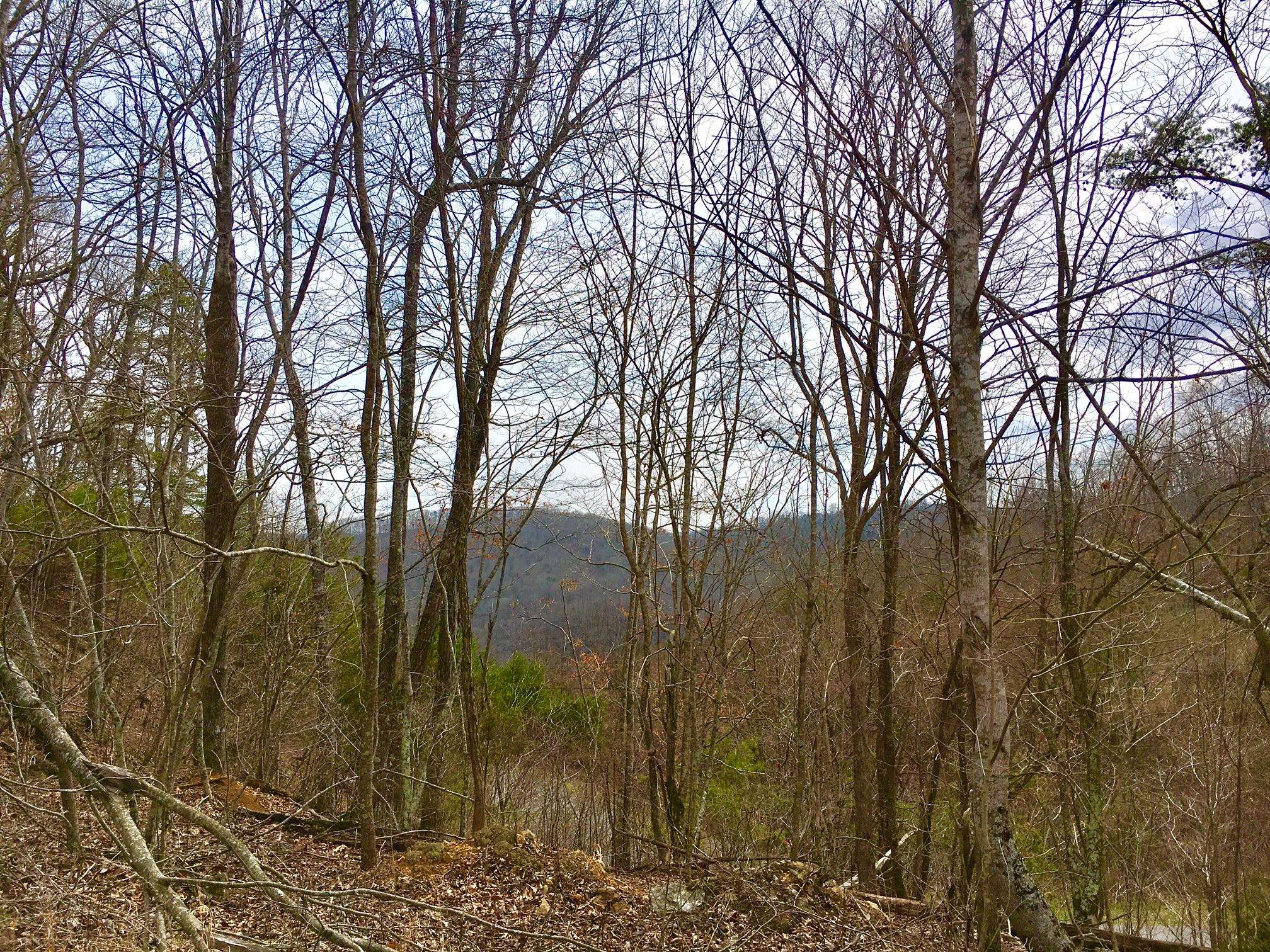 New Tazewell, TN 37825,Lot 290 Bluff View Rd