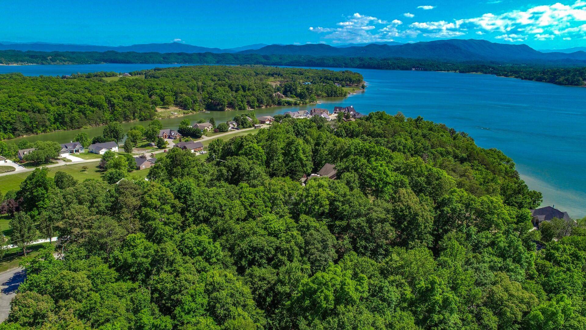 White Pine, TN 37890,Lake Vista DR