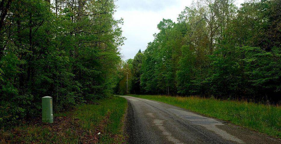 Allardt, TN 38504,Lot 1 Cole Place Rd