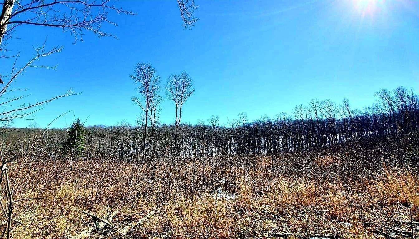 Crab Orchard, TN 37723,Lot 12 Lower Eagle's Nest