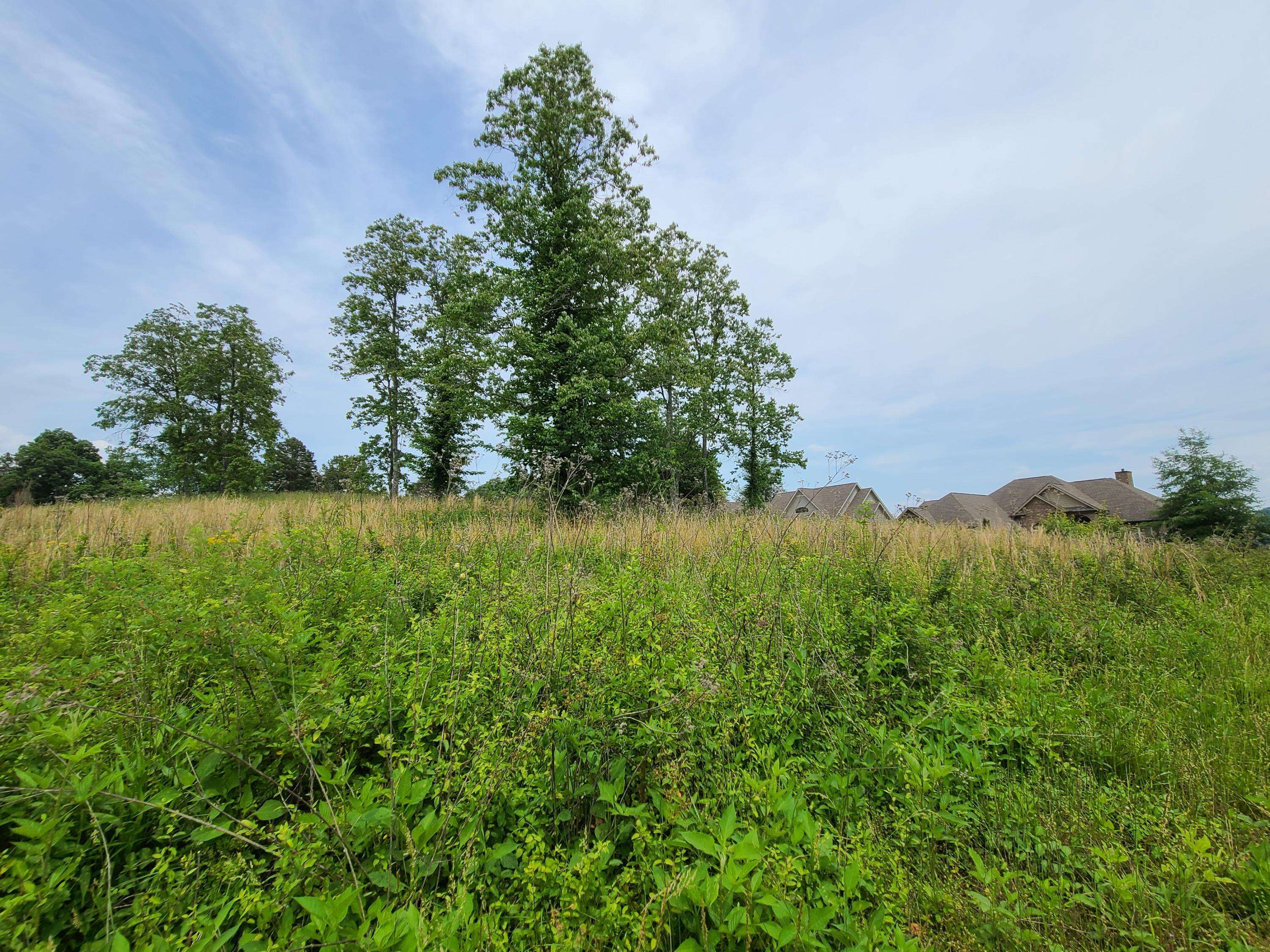 Harriman, TN 37748,Lot # 23 Serenity DR