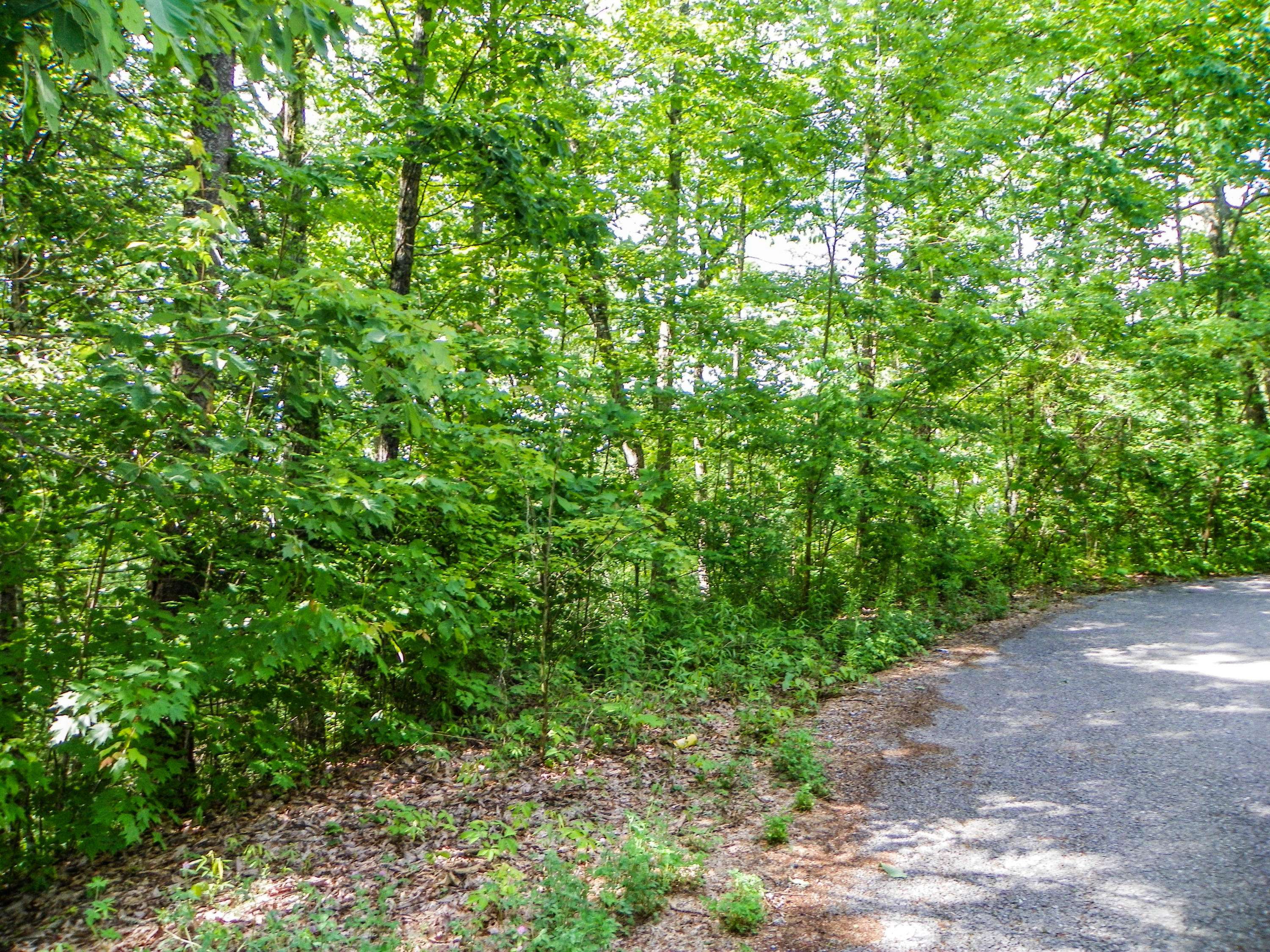 Sevierville, TN 37876,Lot# 65 Dollys DR