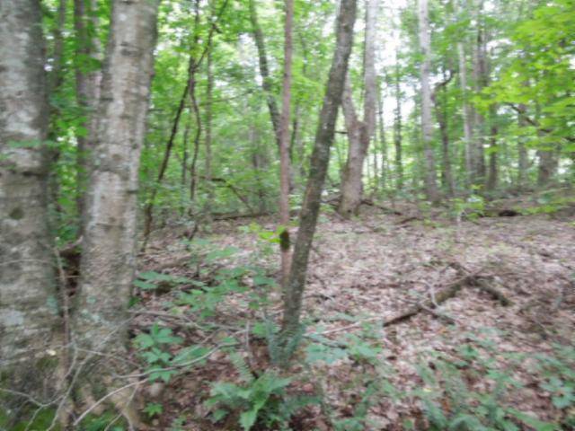 Celina, TN 38551,5.19 Ac Star Point Road