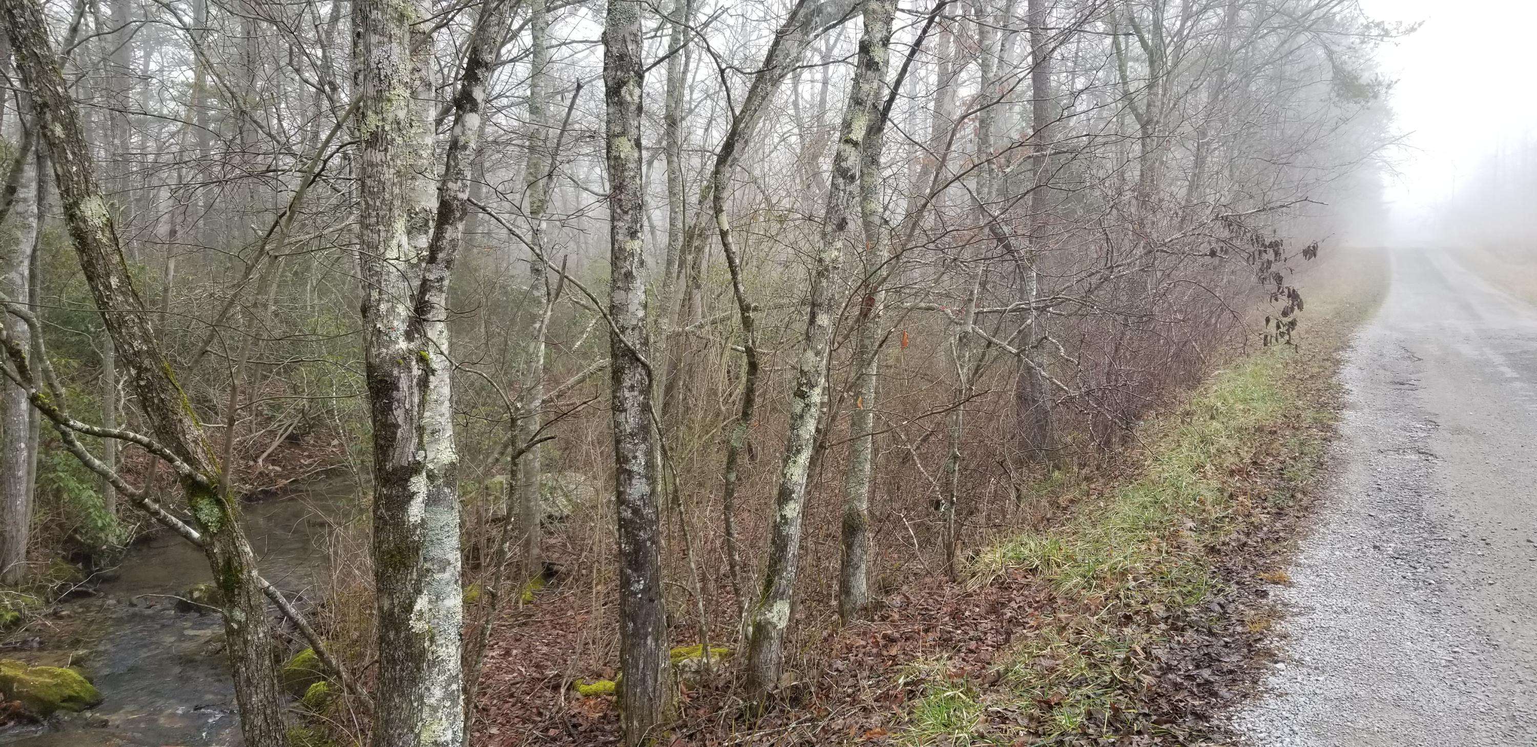 Crossville, TN 38572,.66 Acre Cleggan DR