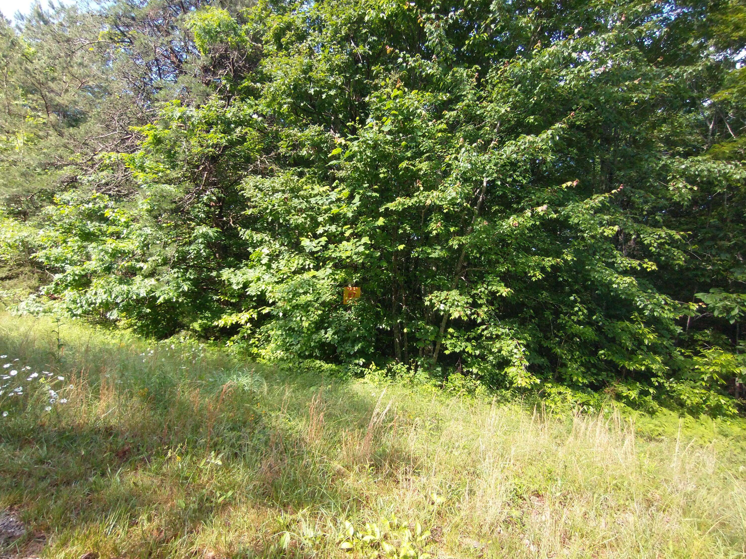 Sunbright, TN 37872,Crest View Drive