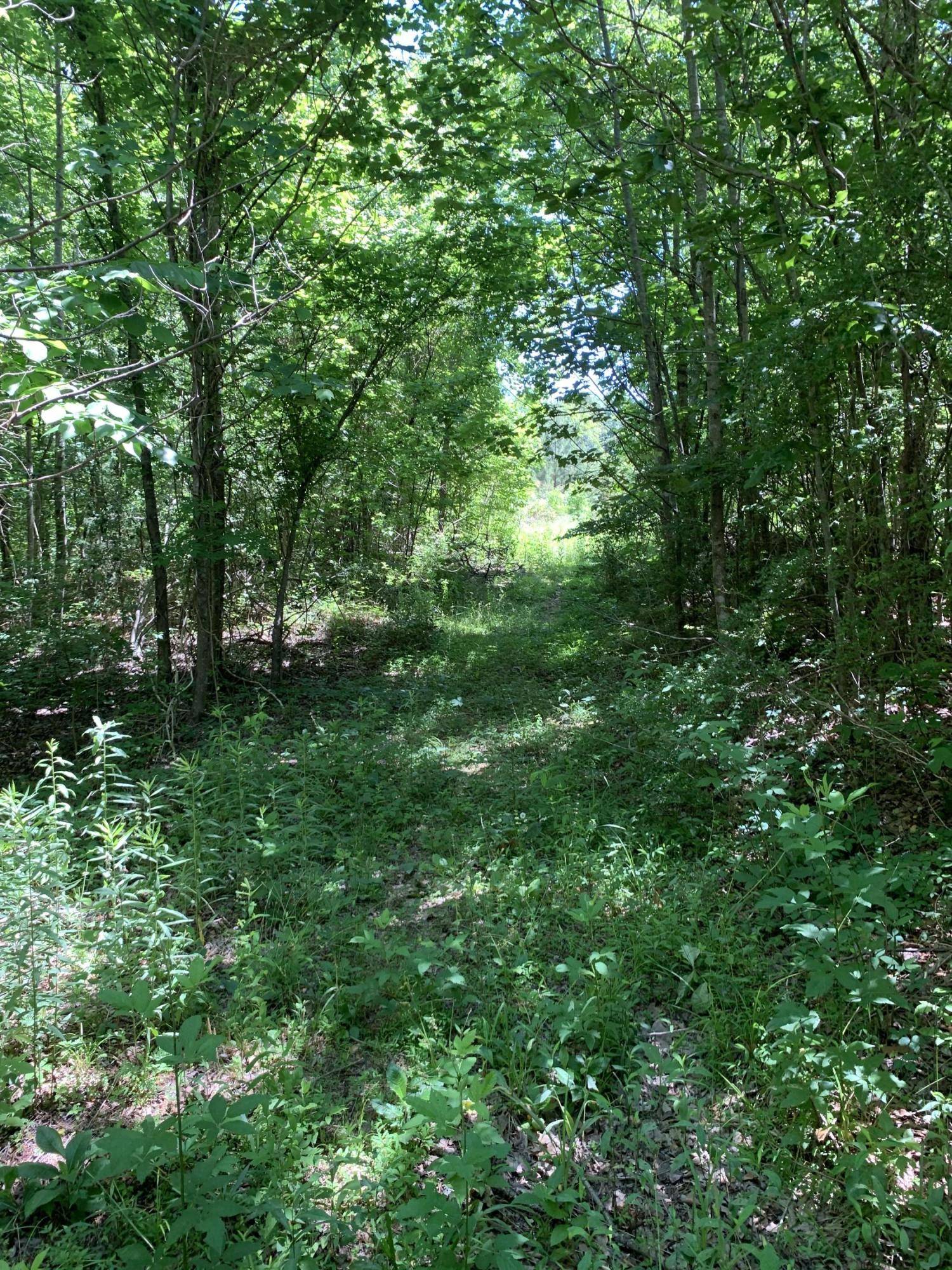 Tellico Plains, TN 37385,Lot 7 Curtis Rd