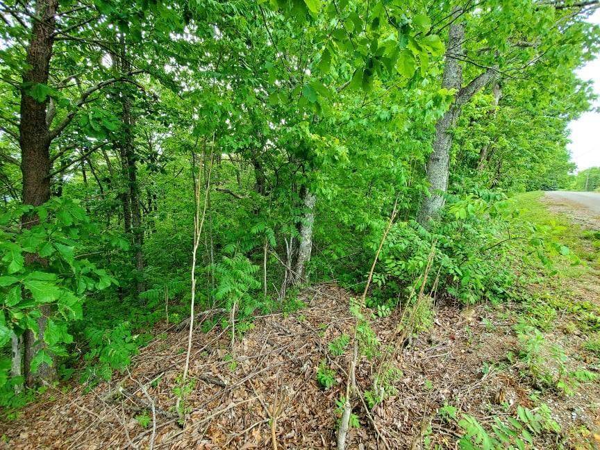 Crab Orchard, TN 37723,Lot 239 Renegade Mountain Pkwy