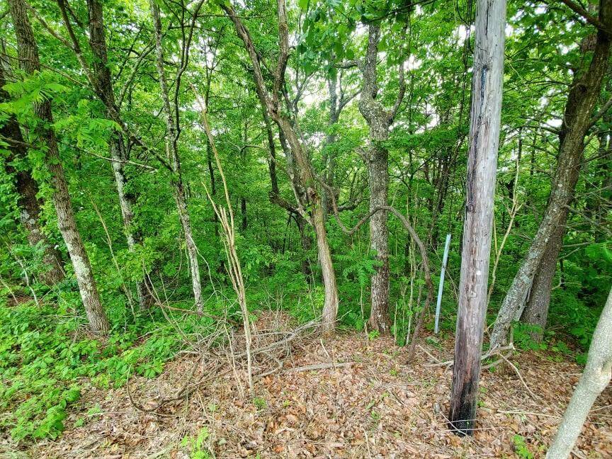 Crab Orchard, TN 37723,Lot 239 Renegade Mountain Pkwy