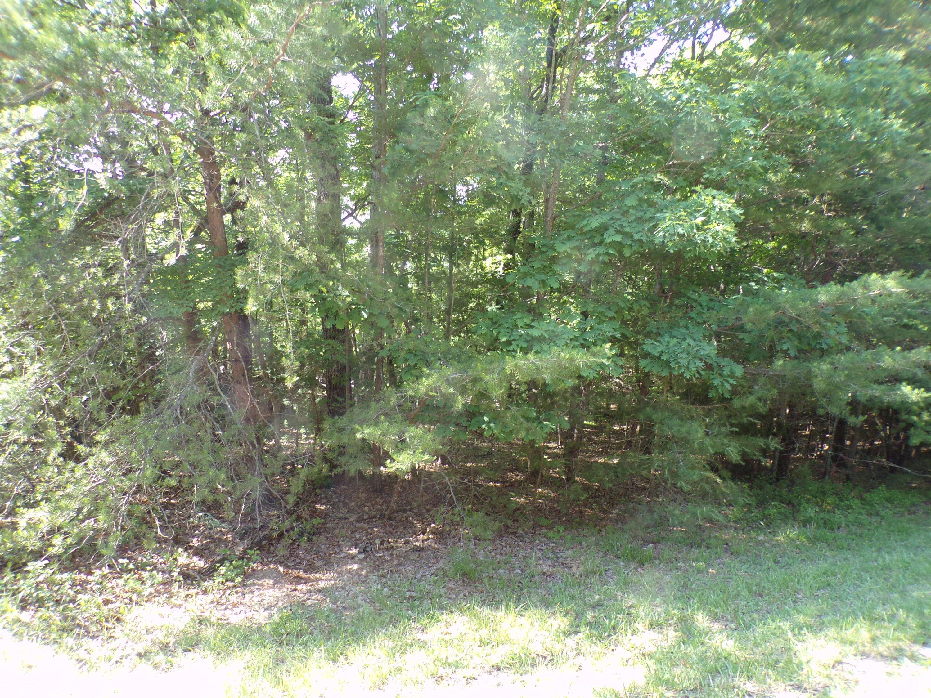 Fairfield Glade, TN 38558,158 Dalefield LOOP