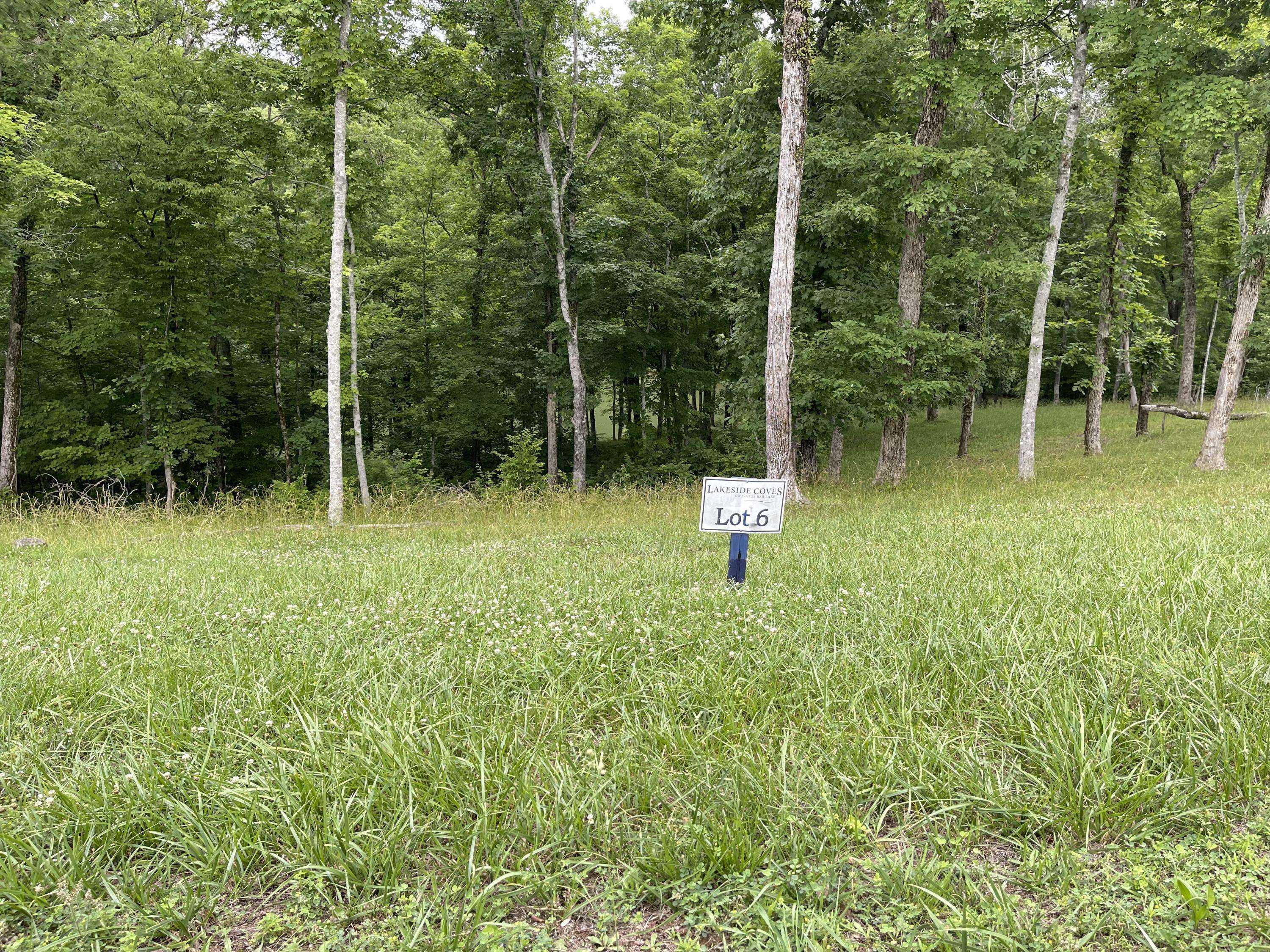 Ten Mile, TN 37880,Waterfront Way, Lot 6