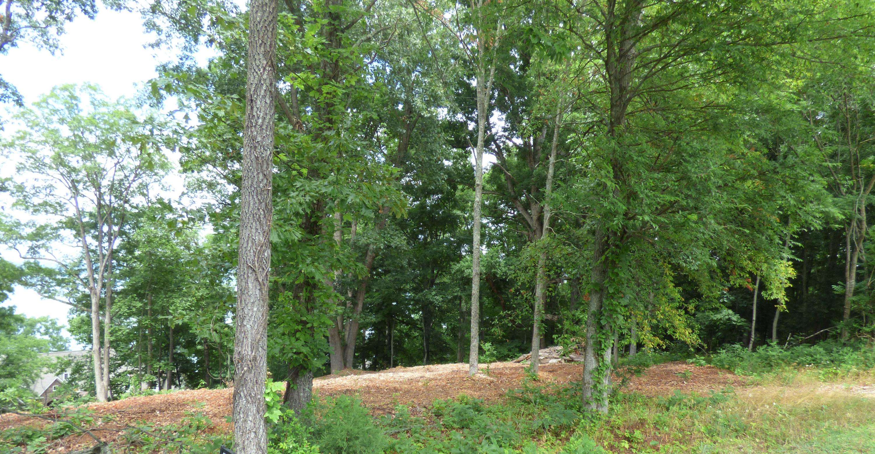 Baneberry, TN 37890,Lots 1123 Mtn View Ln/Lakefront Pl