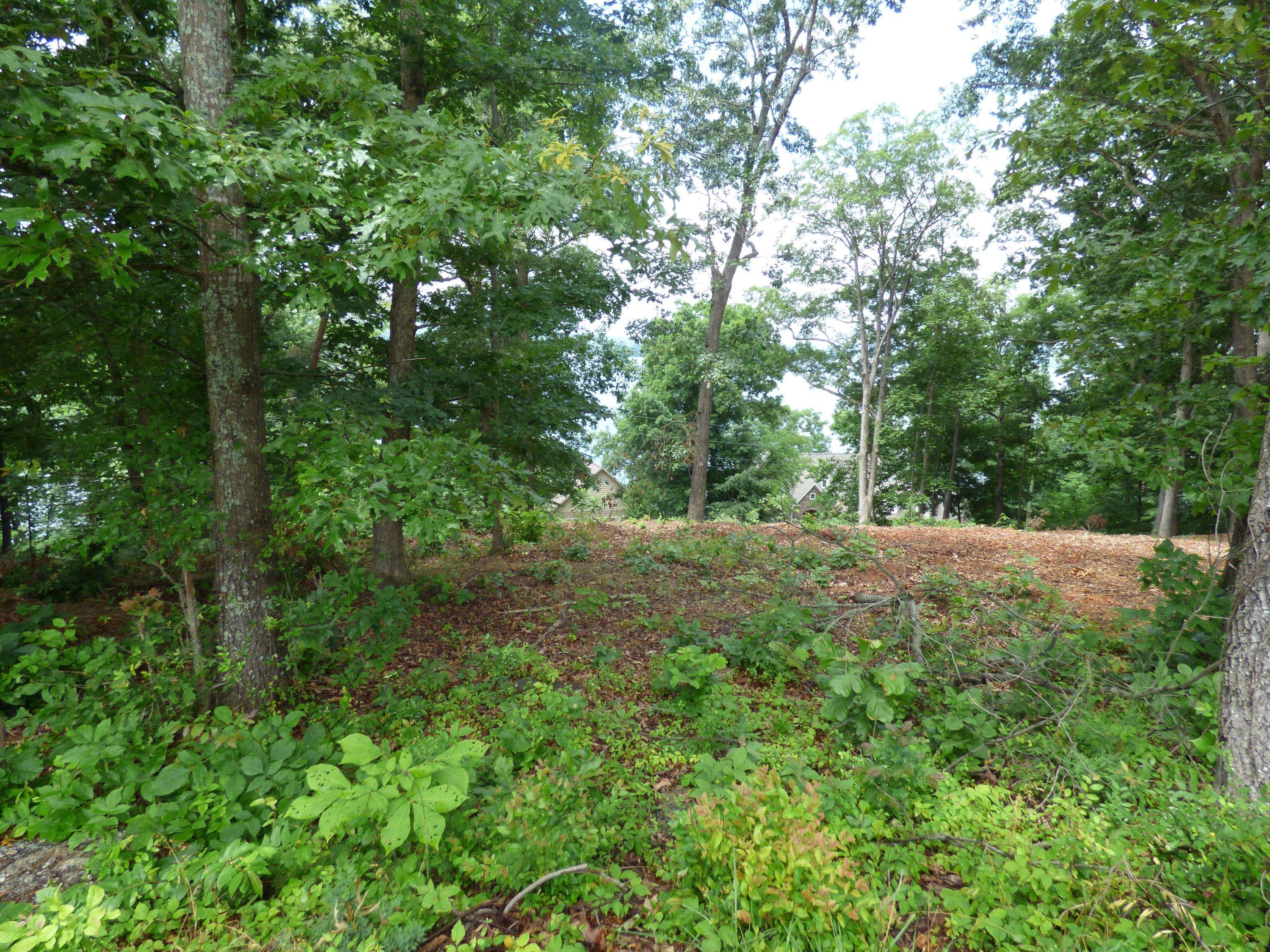 Baneberry, TN 37890,Lots 1123 Mtn View Ln/Lakefront Pl