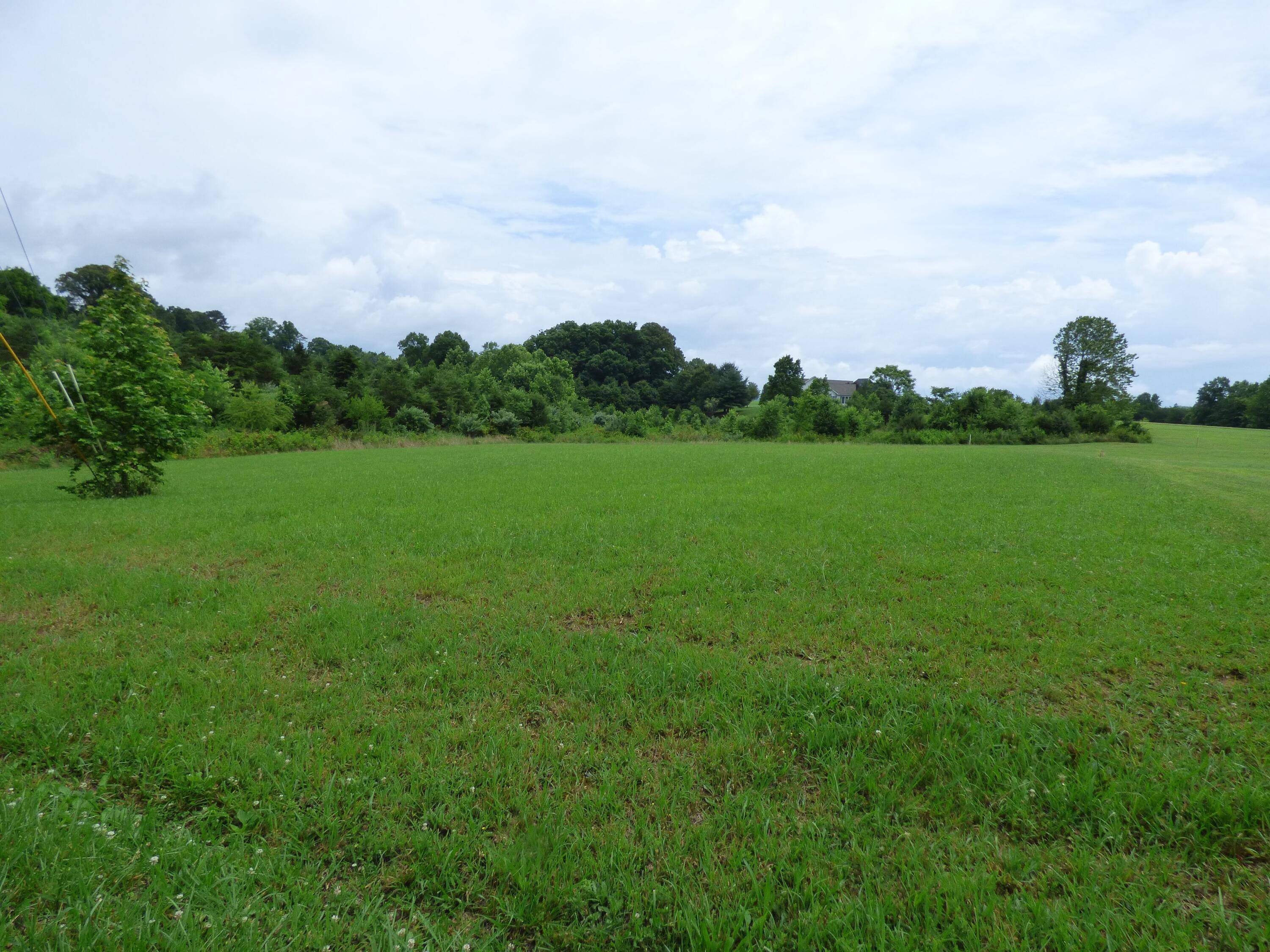 Baneberry, TN 37890,Lot 14 Bonnevista Dr