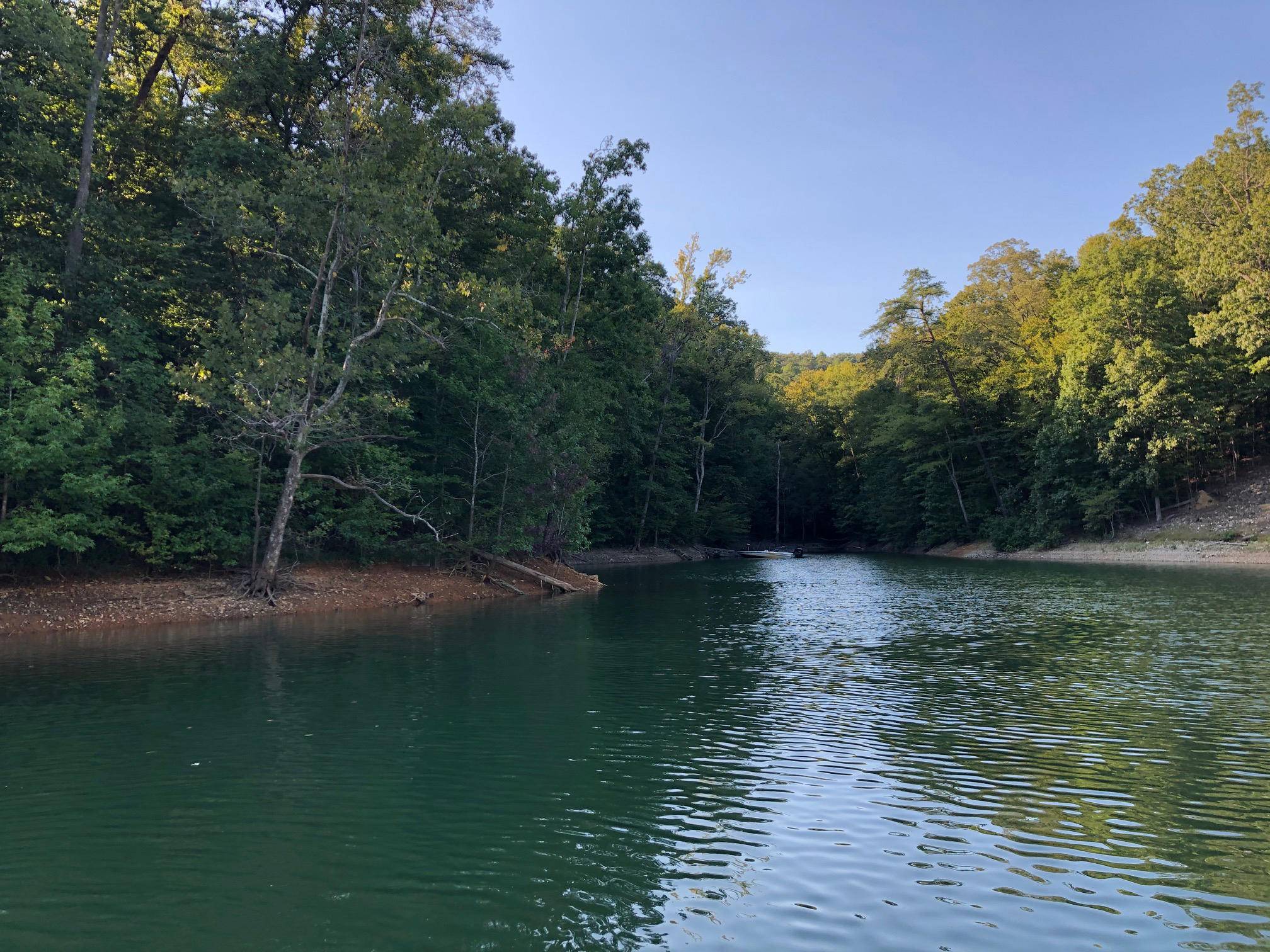 Sharps Chapel, TN 37866,Lot 121 Cove PT