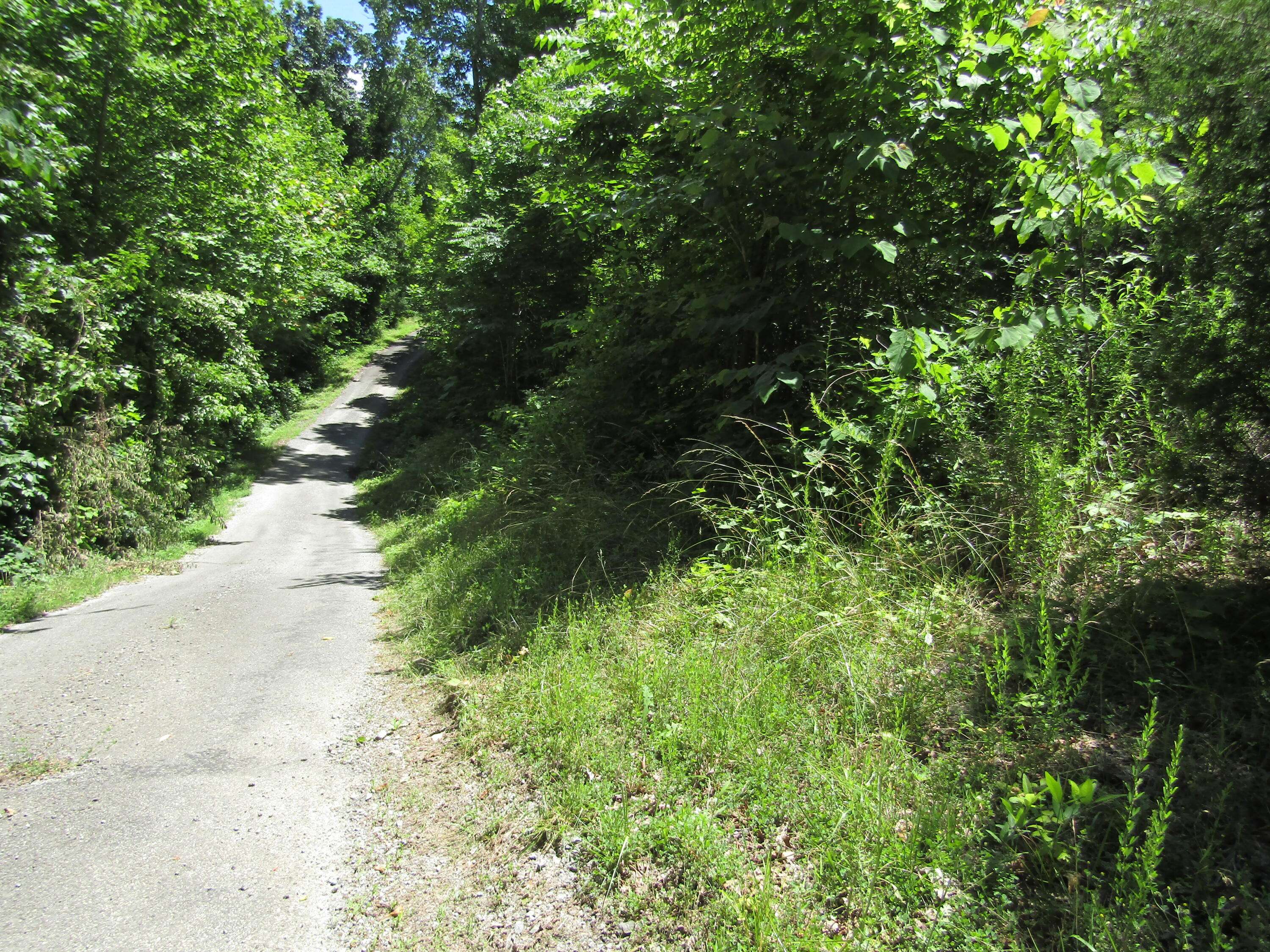 Hilham, TN 38568,LOT 15 Simple Life Rd