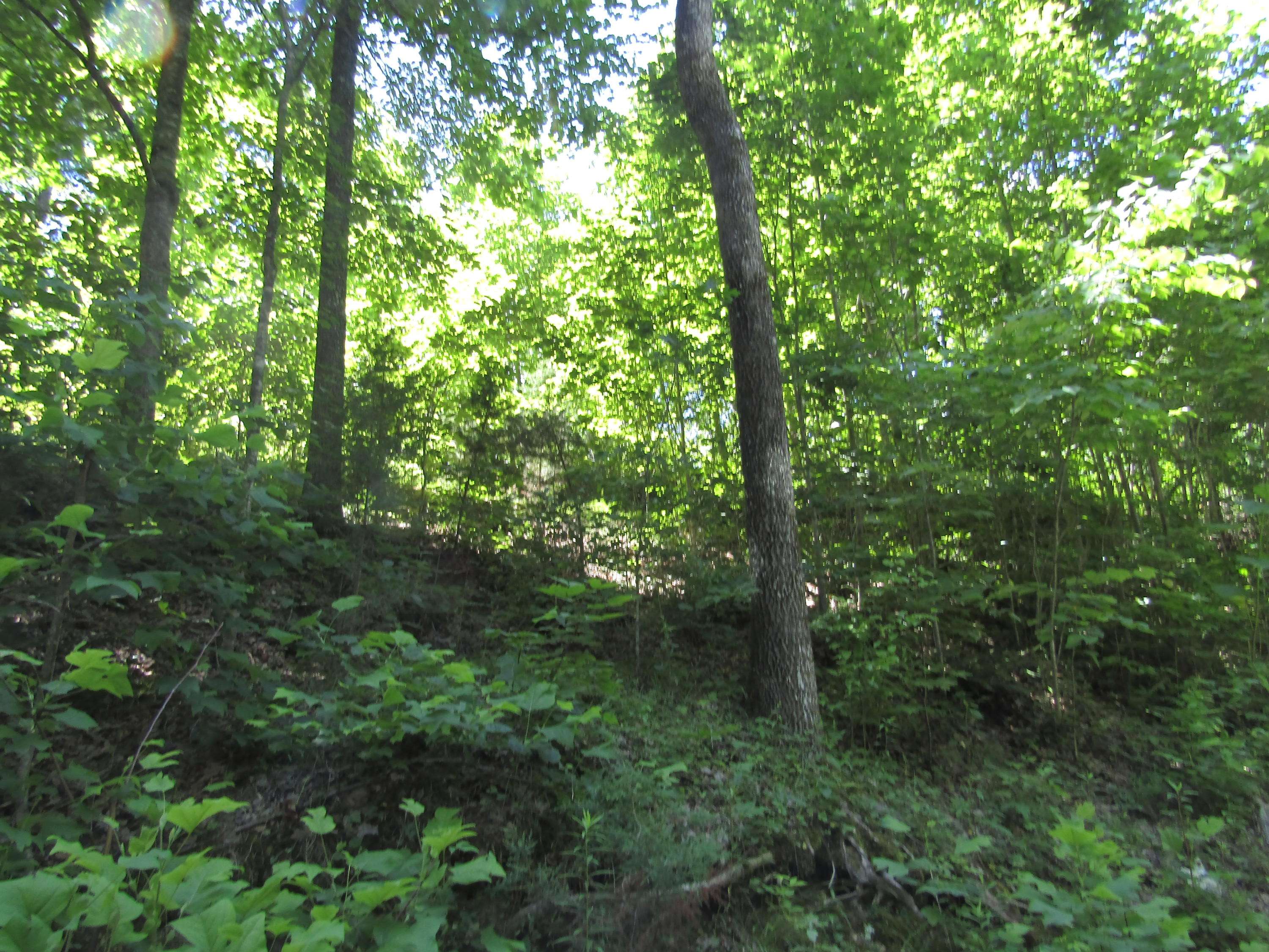 Hilham, TN 38568,LOT 15 Simple Life Rd