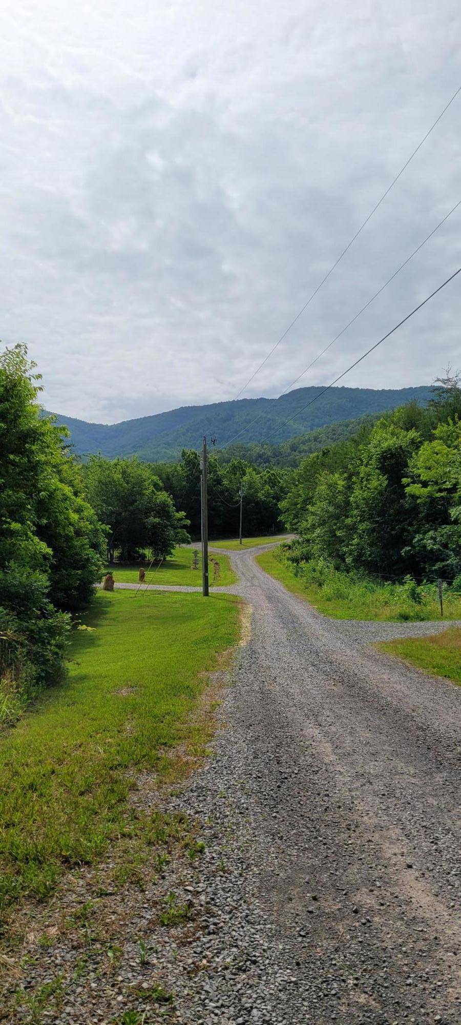 Tellico Plains, TN 37385,2574 Smithfield Rd