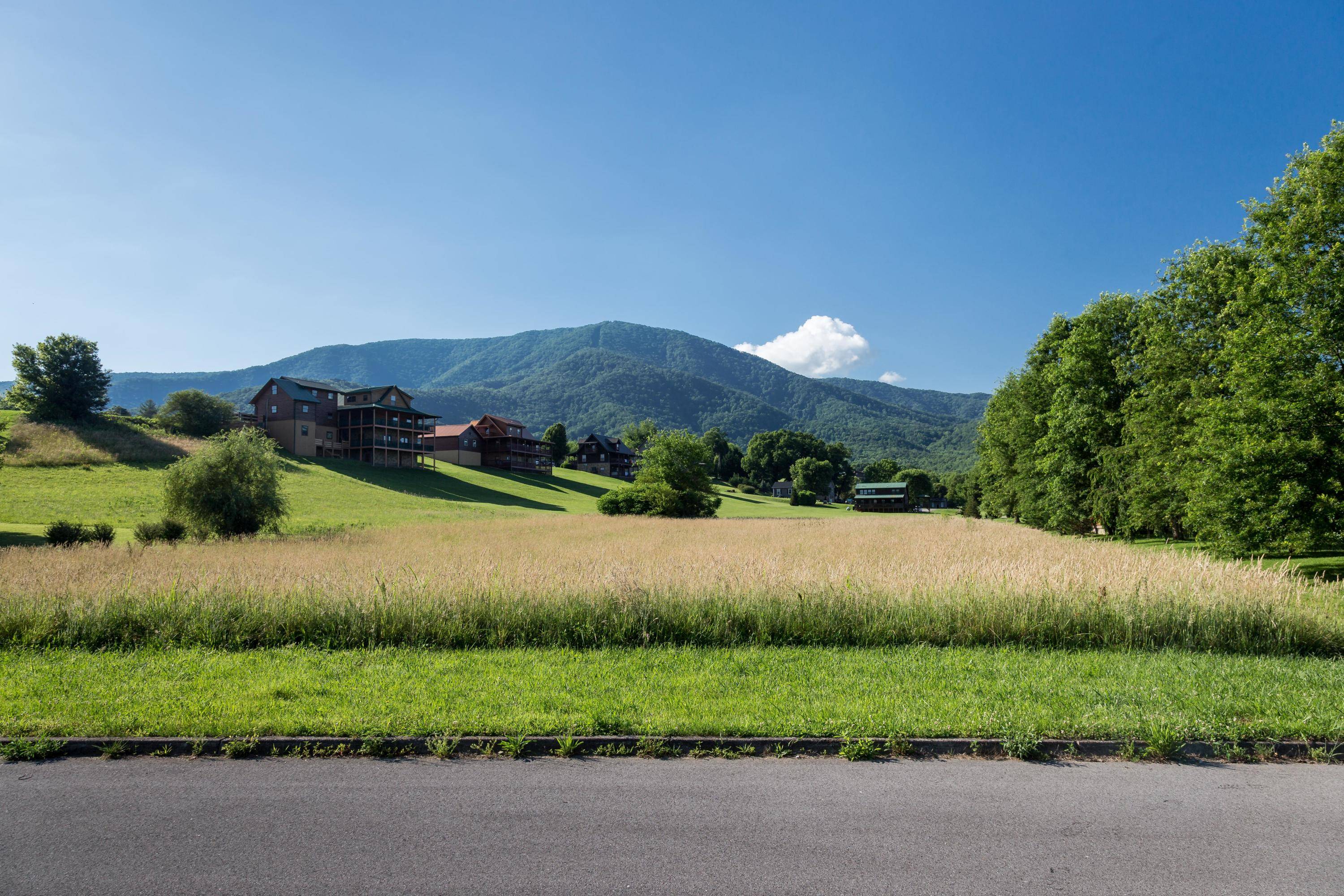 Sevierville, TN 37862,Lot 25 Cove Meadows DR