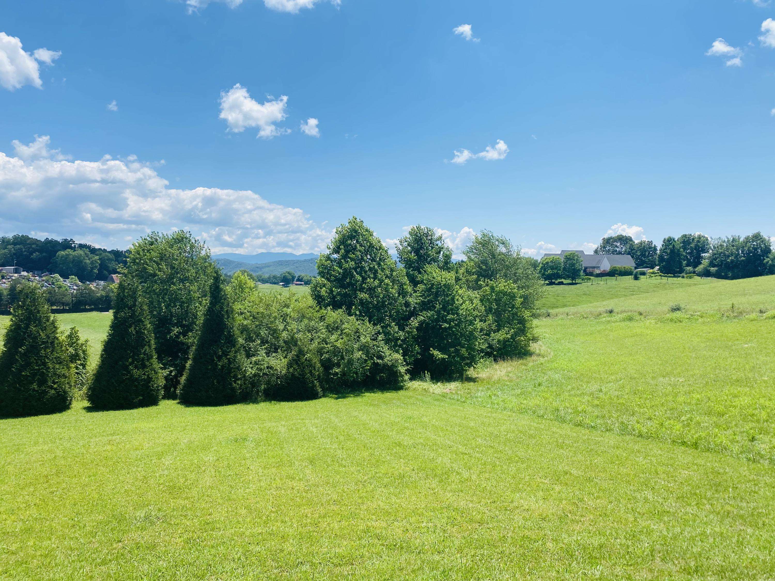 Tellico Plains, TN 37385,135 Wilson CIR